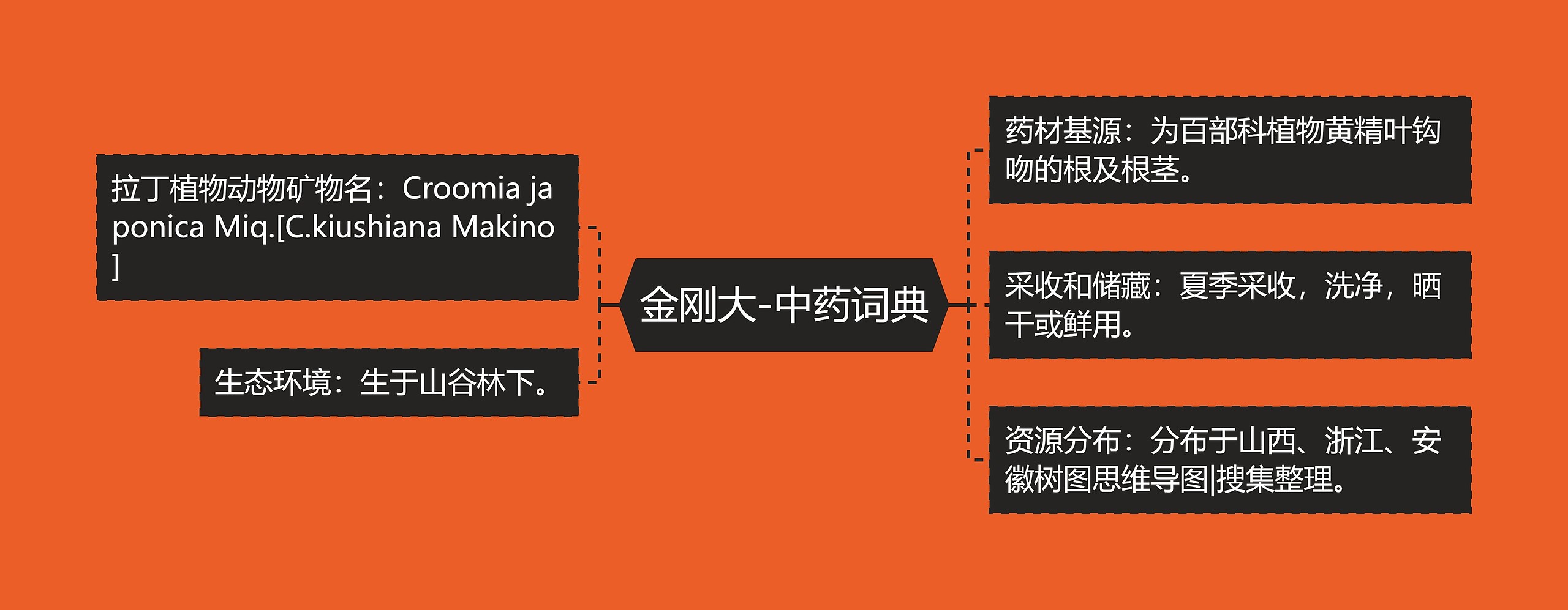 金刚大-中药词典 金刚大-中药词典