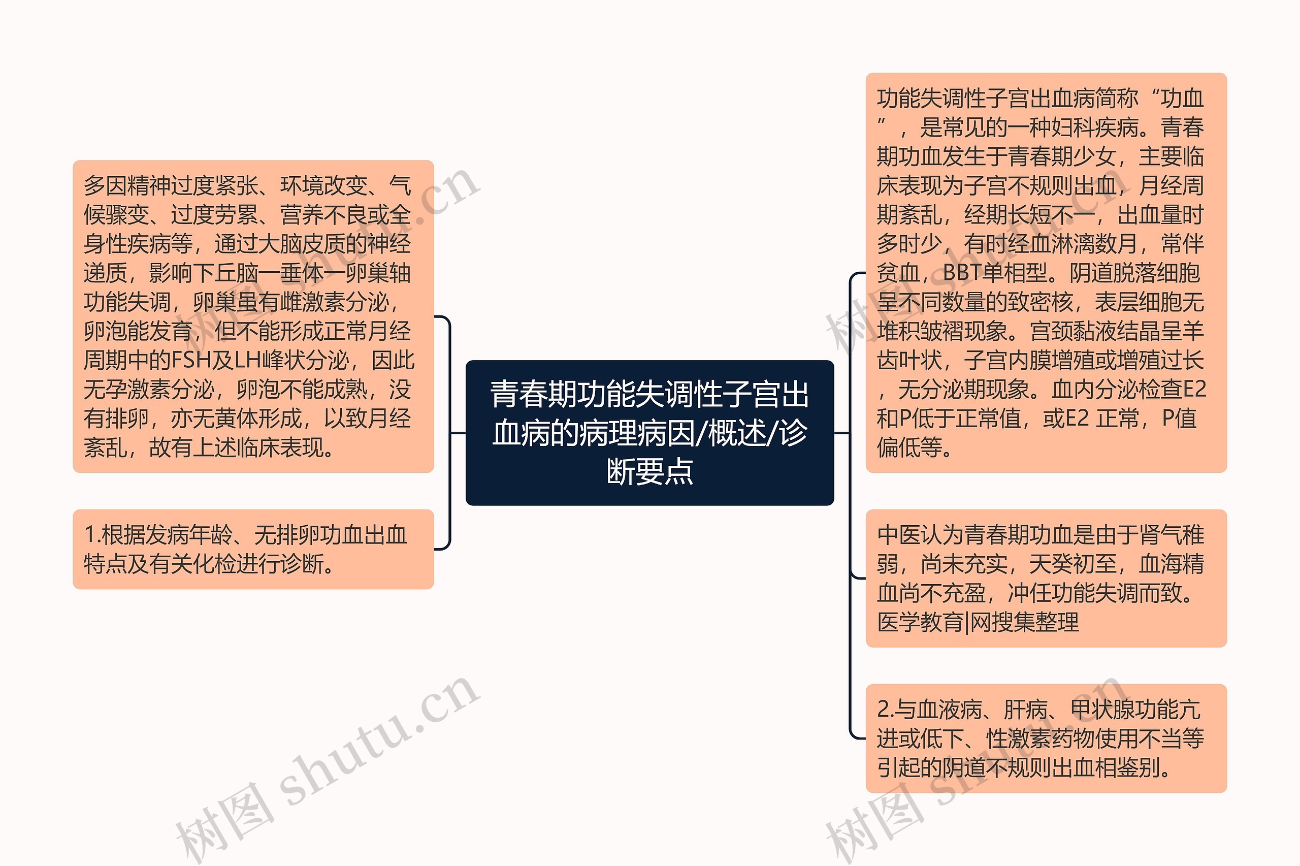 青春期功能失调性子宫出血病的病理病因/概述/诊断要点