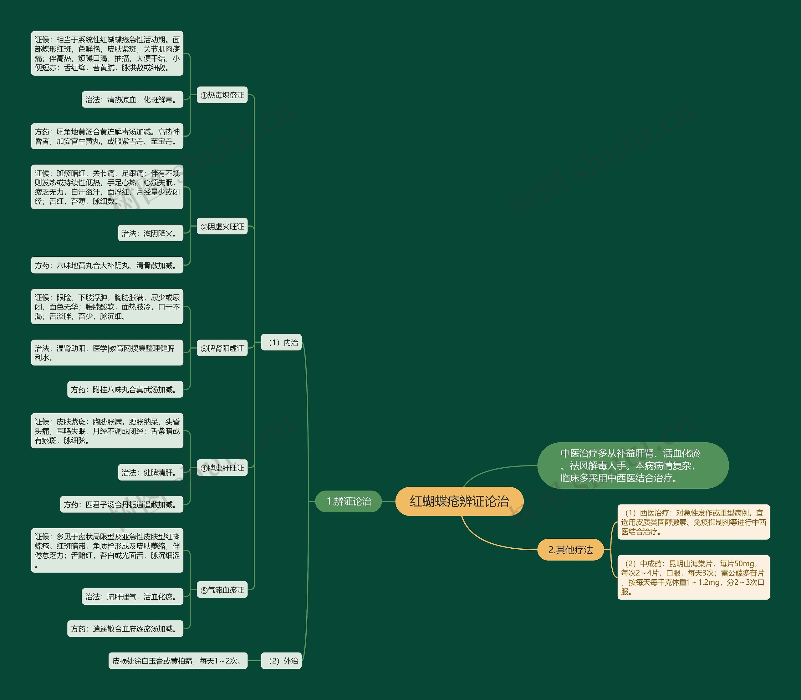 红蝴蝶疮辨证论治思维导图