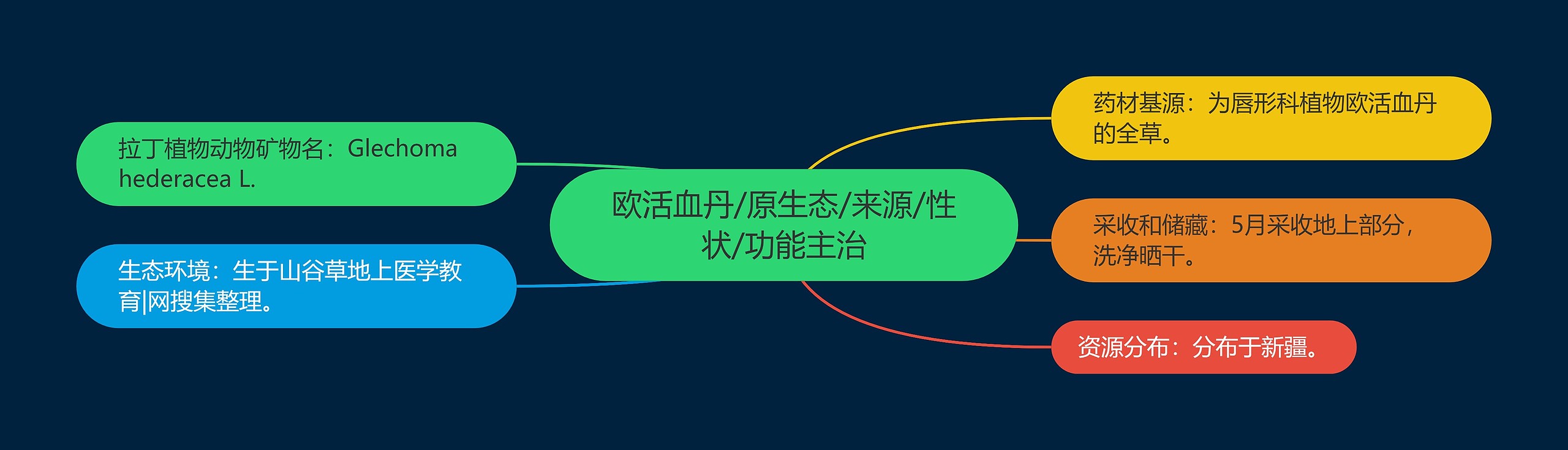 欧活血丹/原生态/来源/性状/功能主治 欧活血丹/原生态/来源/性状/功能主治