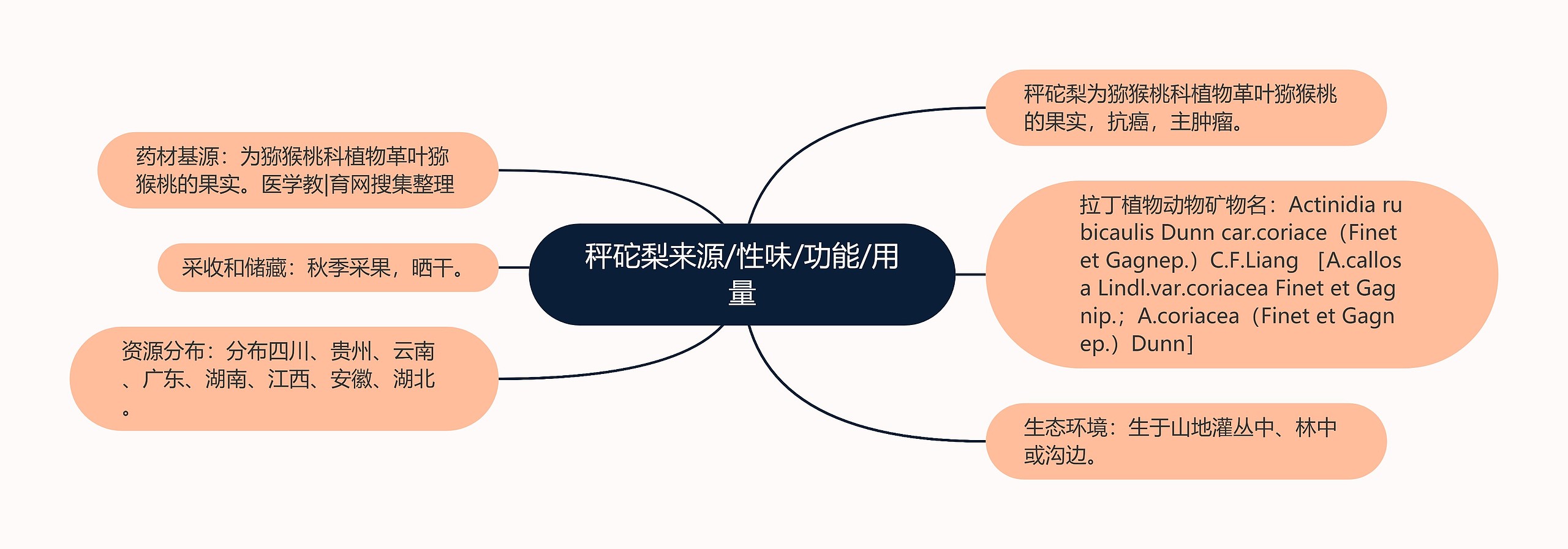 秤砣梨来源/性味/功能/用量思维导图