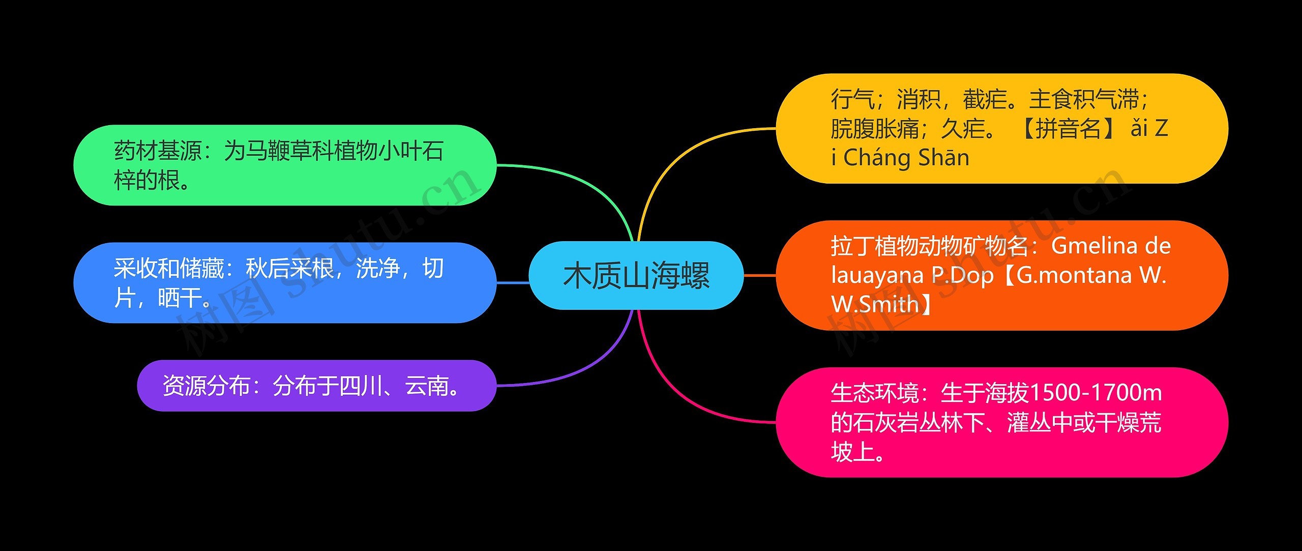 木质山海螺思维导图