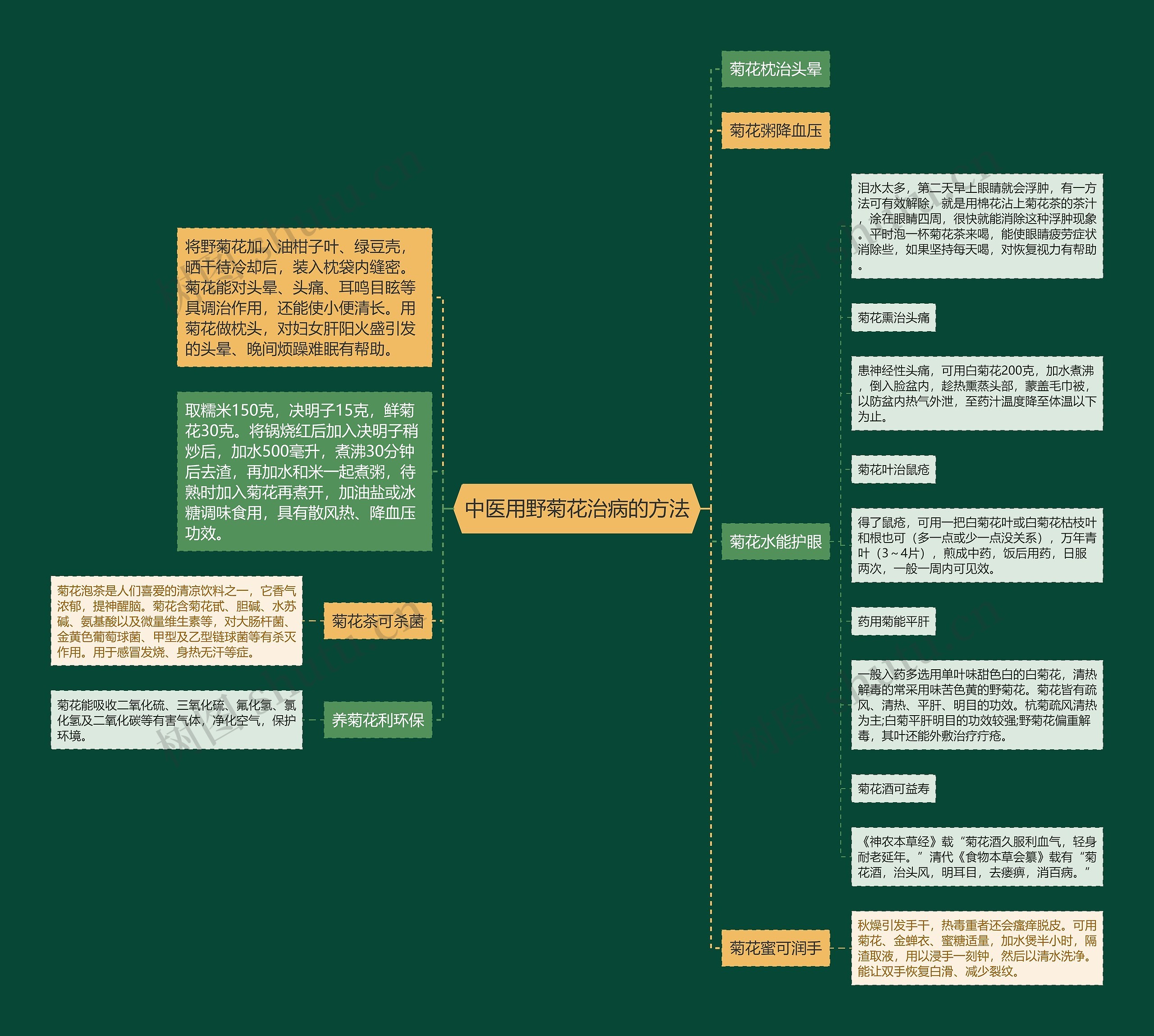 中医用野菊花治病的方法思维导图