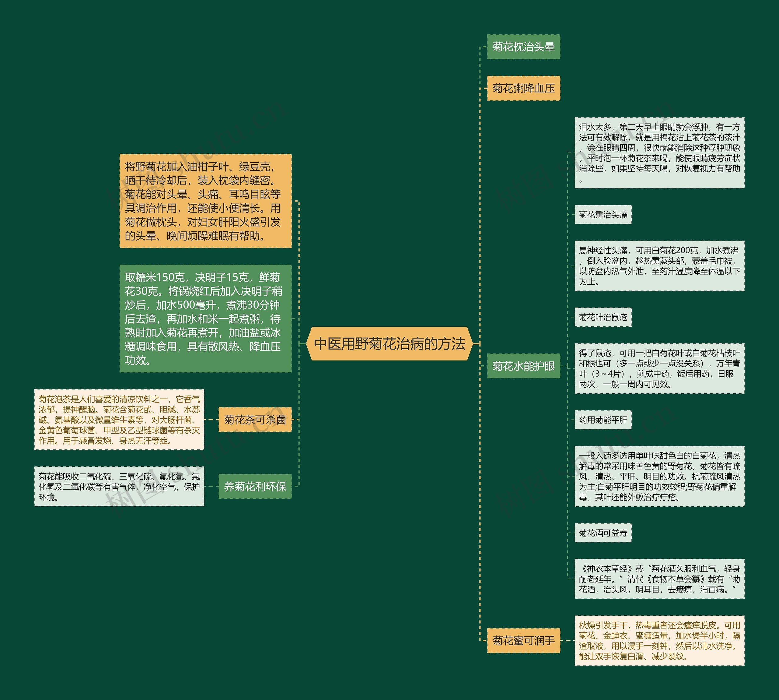 中医用野菊花治病的方法 中医用野菊花治病的方法