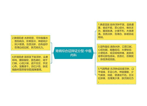 肾病综合征辩证分型-中医内科