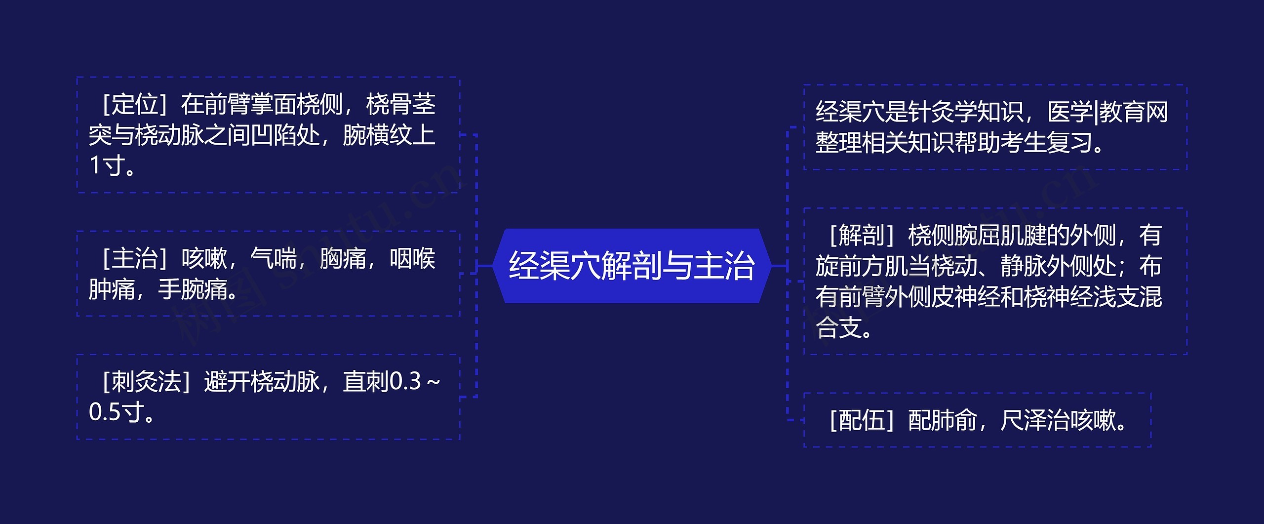 经渠穴解剖与主治 经渠穴解剖与主治