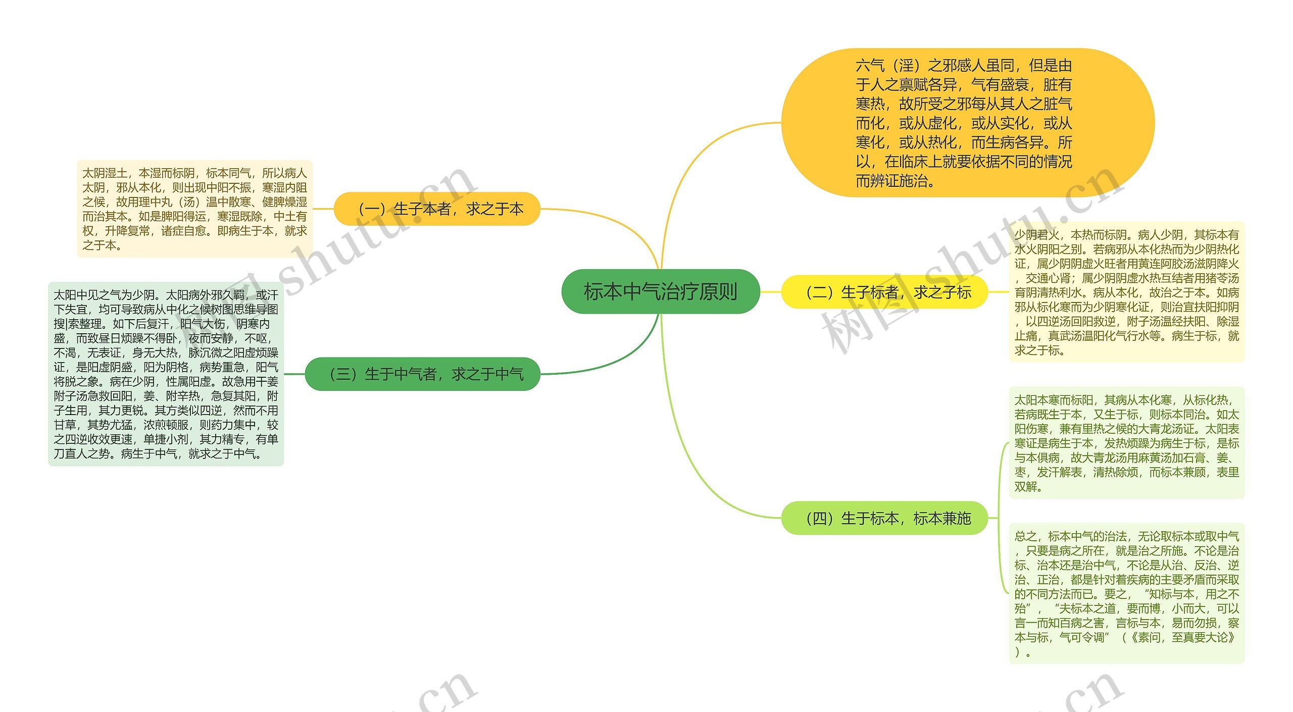 标本中气治疗原则思维导图
