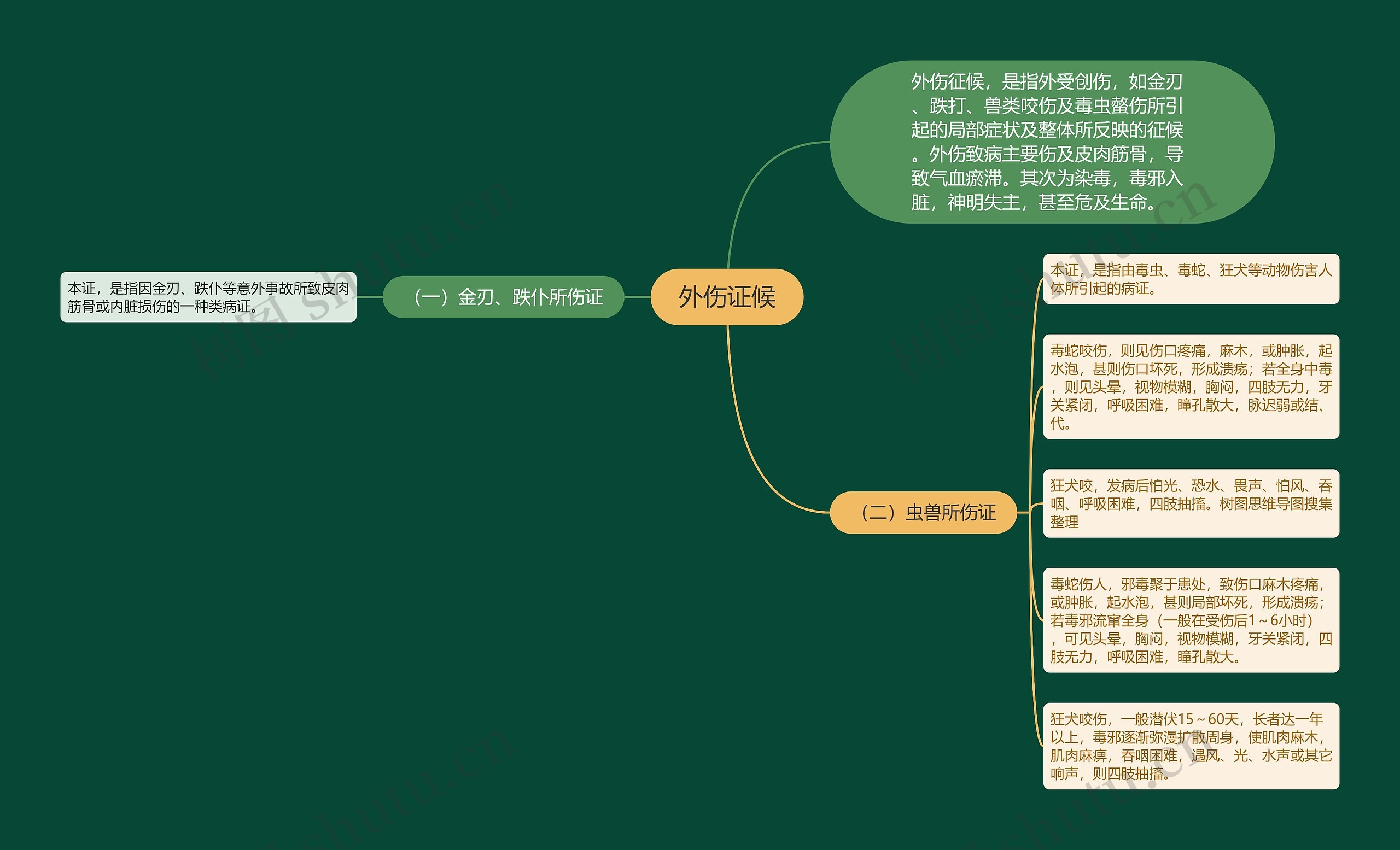 外伤证候思维导图