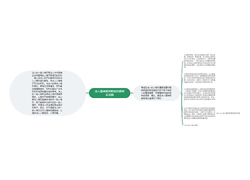 法人精神损害赔偿的原则及范围