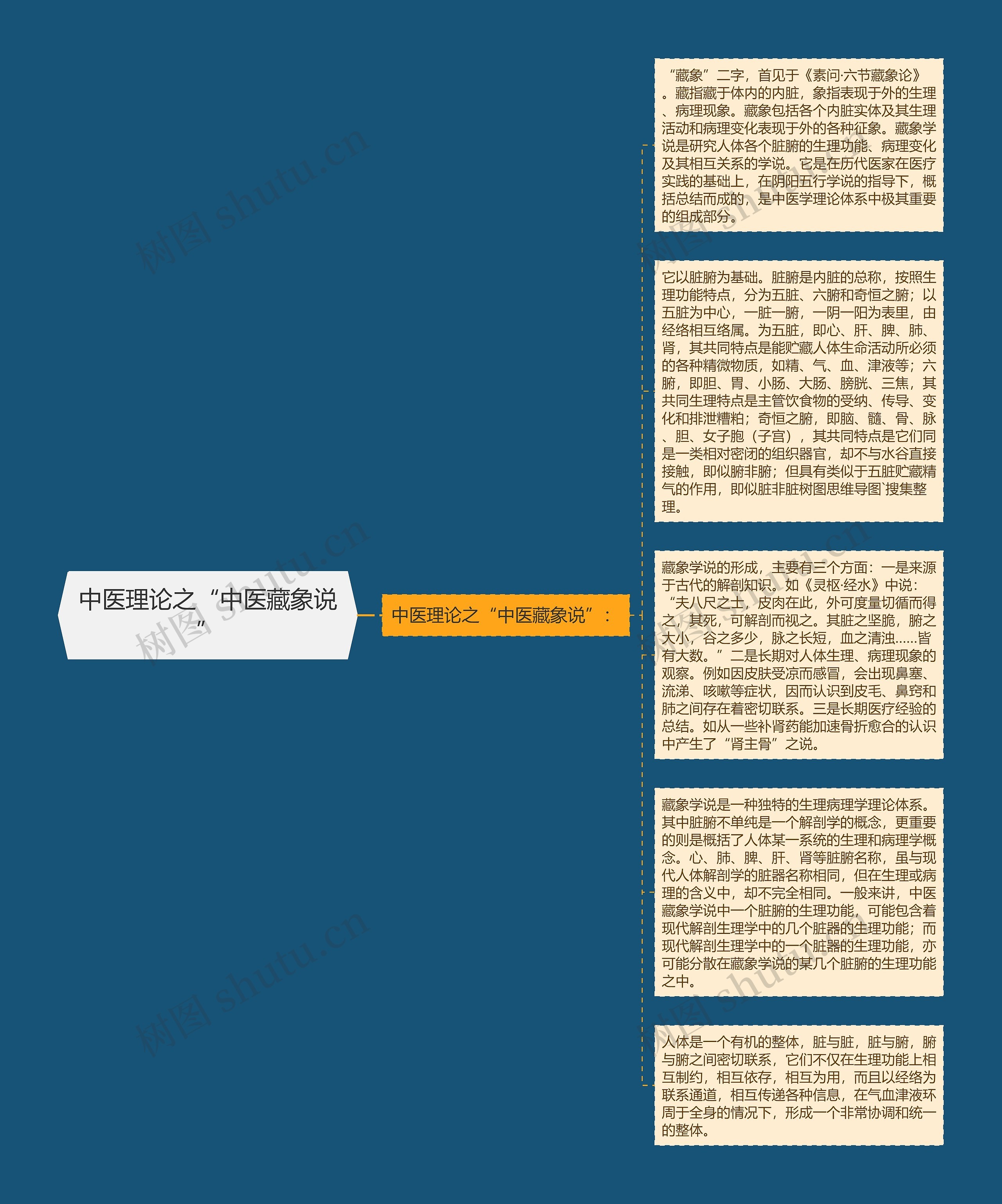 中医理论之“中医藏象说”