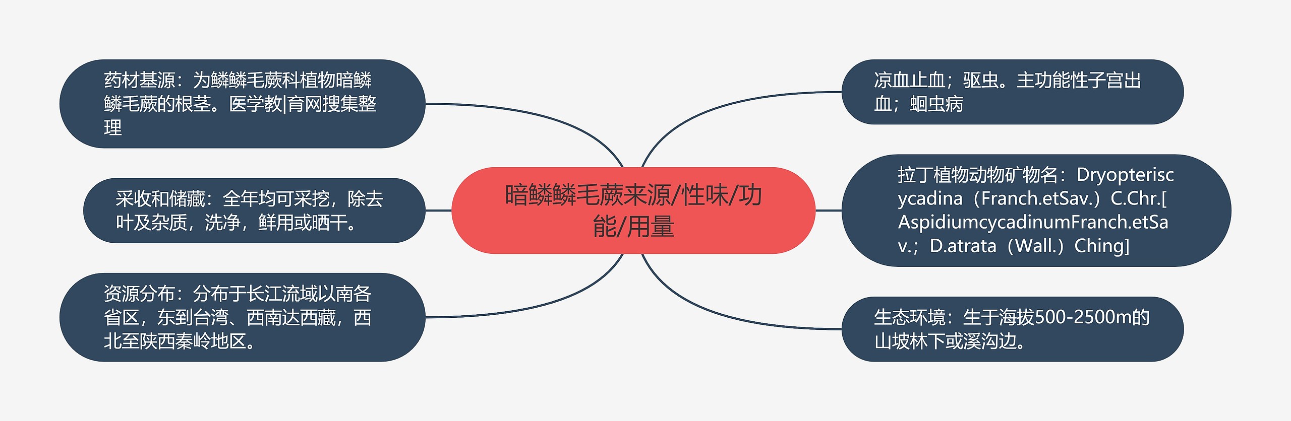 暗鳞鳞毛蕨来源/性味/功能/用量思维导图