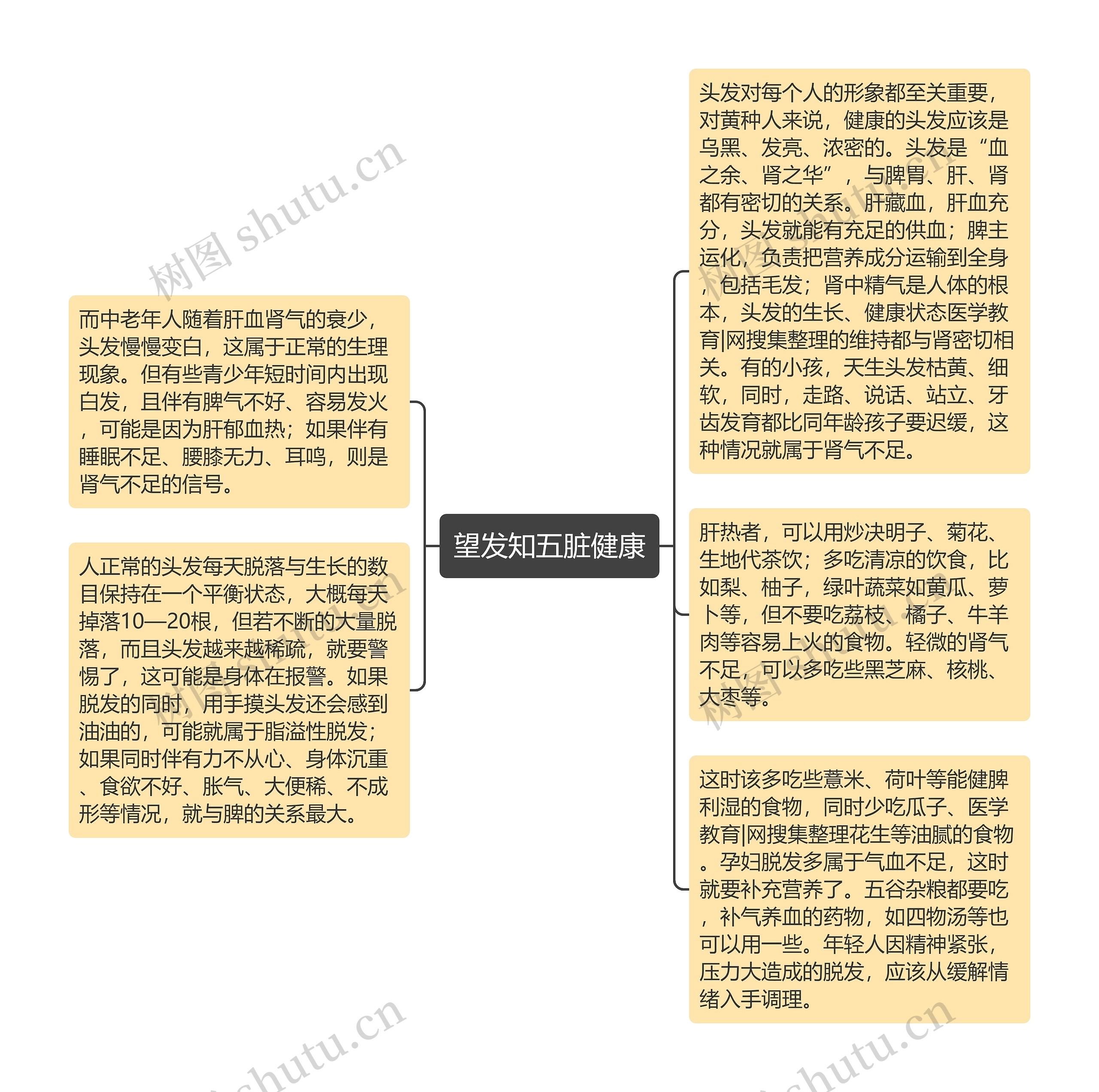 望发知五脏健康思维导图