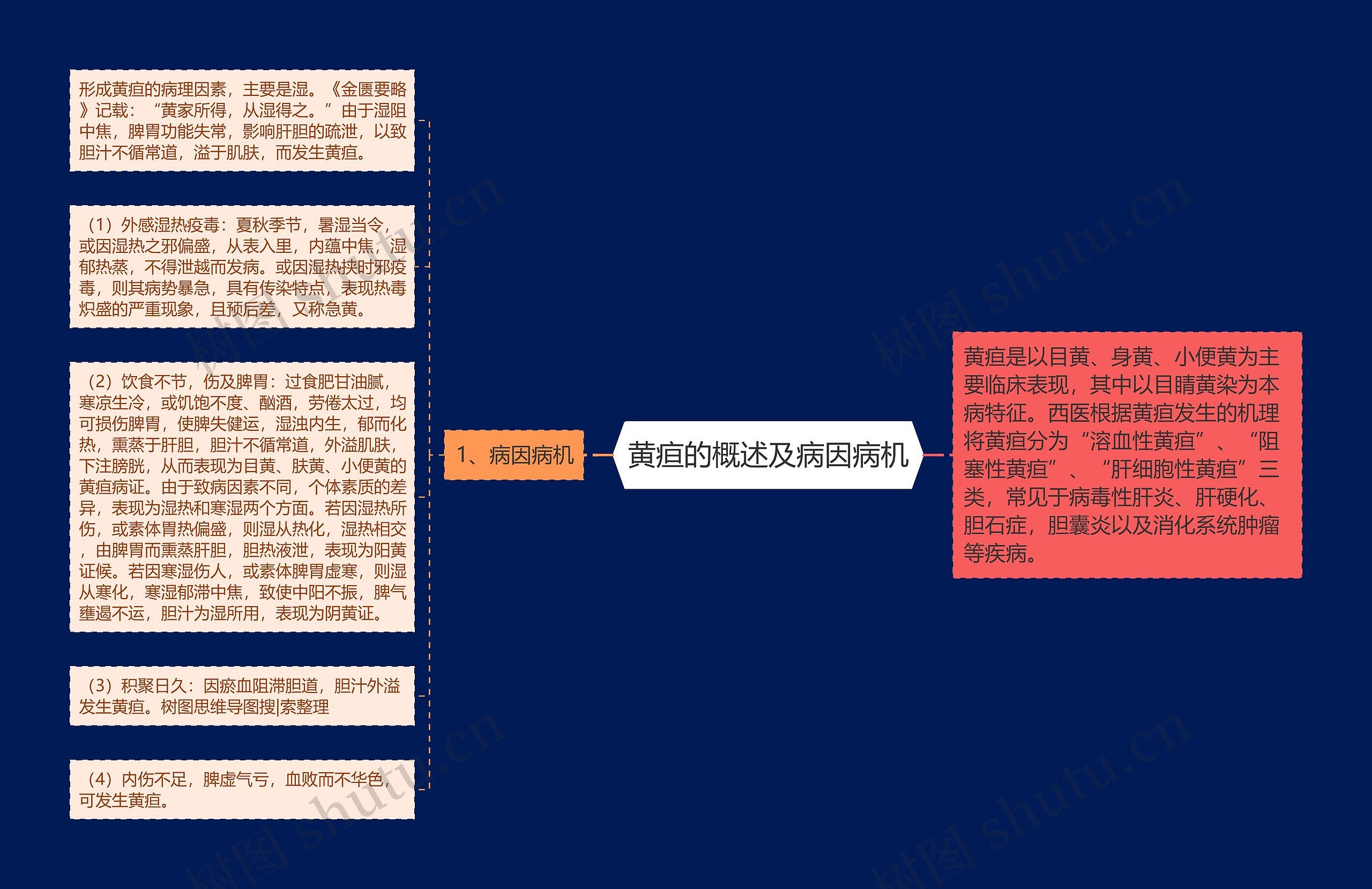 黄疸的概述及病因病机