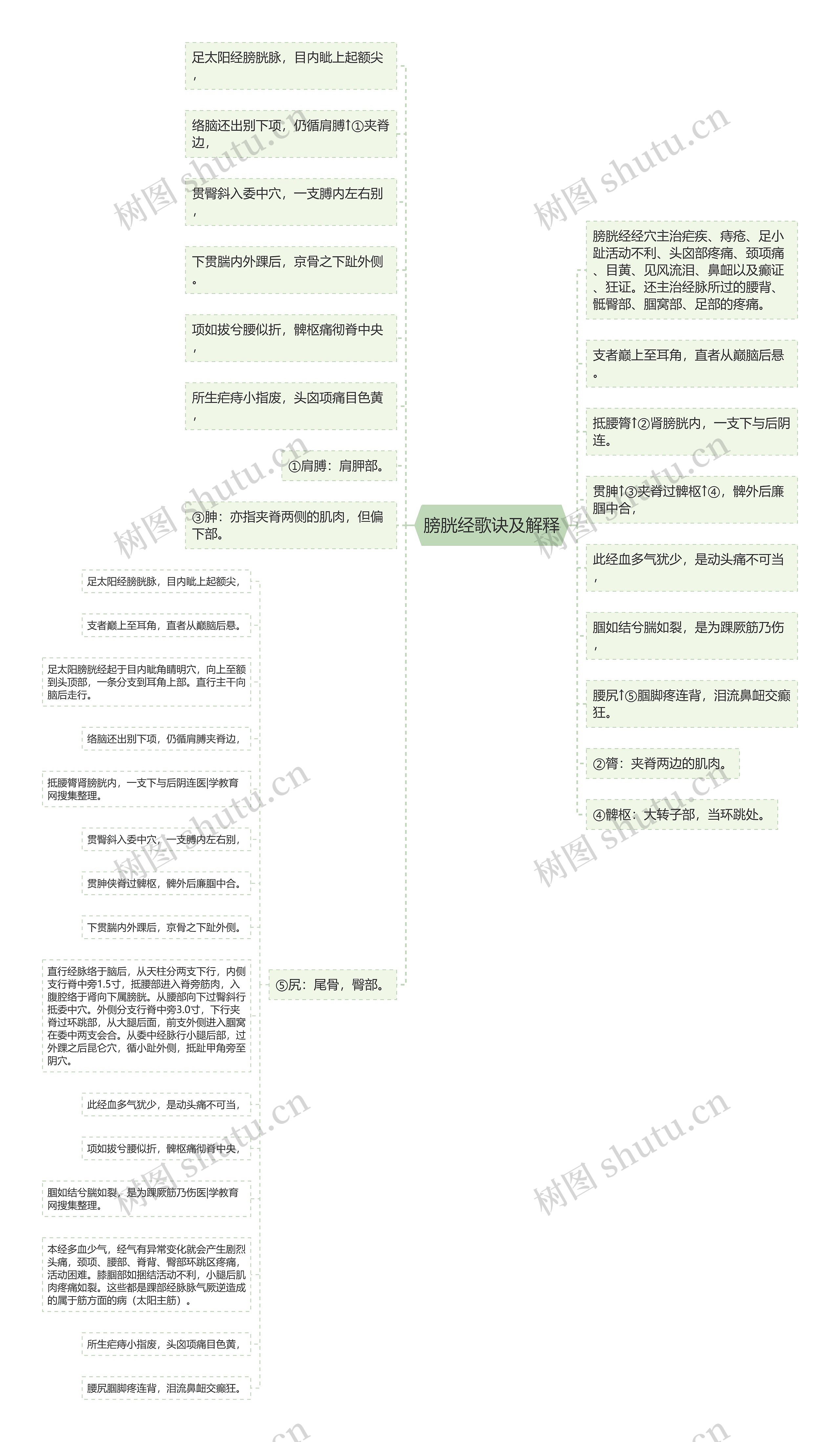 膀胱经歌诀及解释思维导图