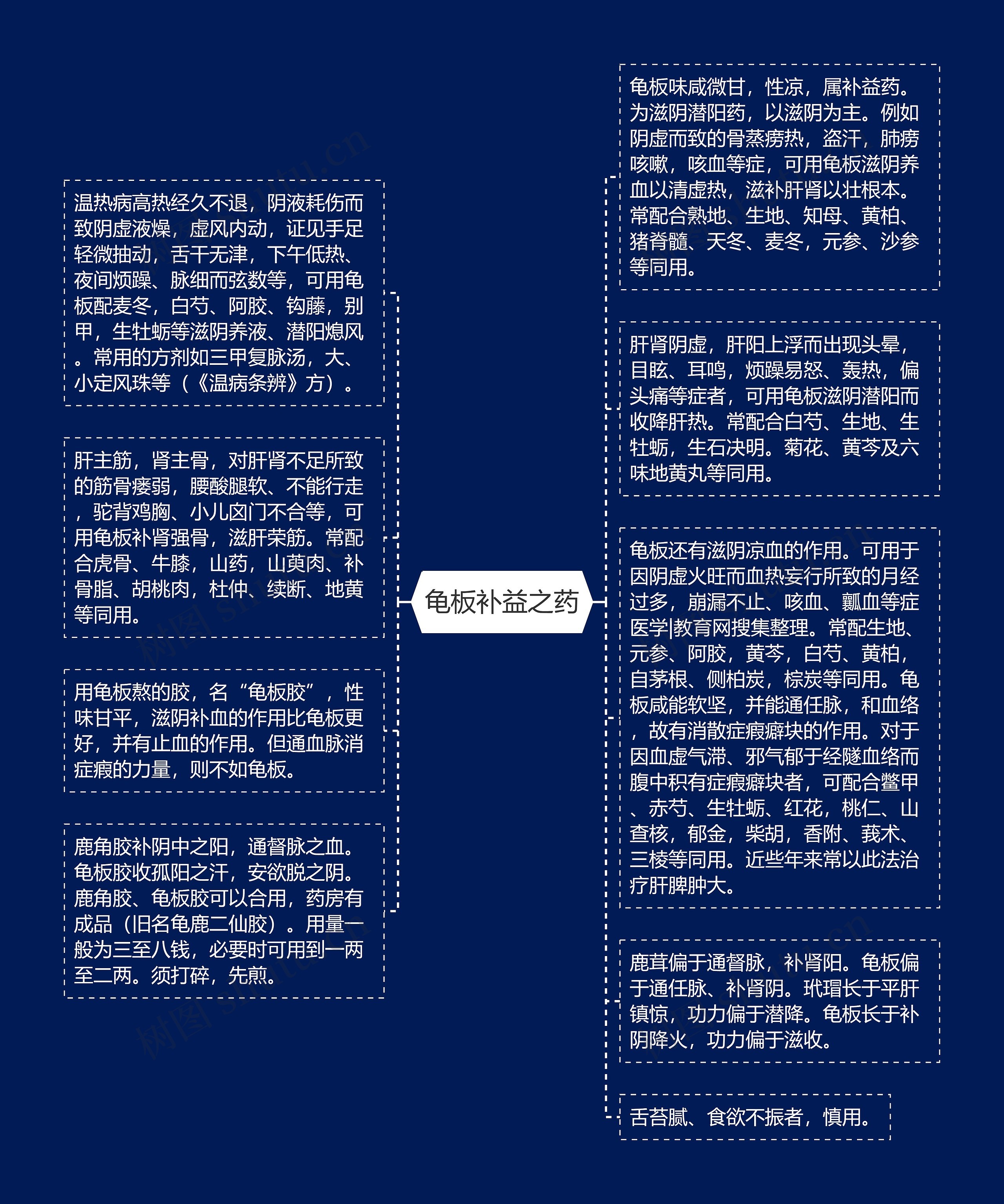 龟板补益之药思维导图