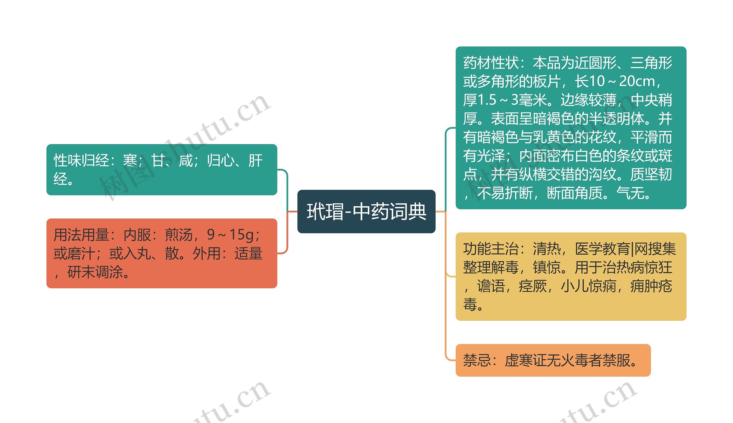 玳瑁-中药词典思维导图