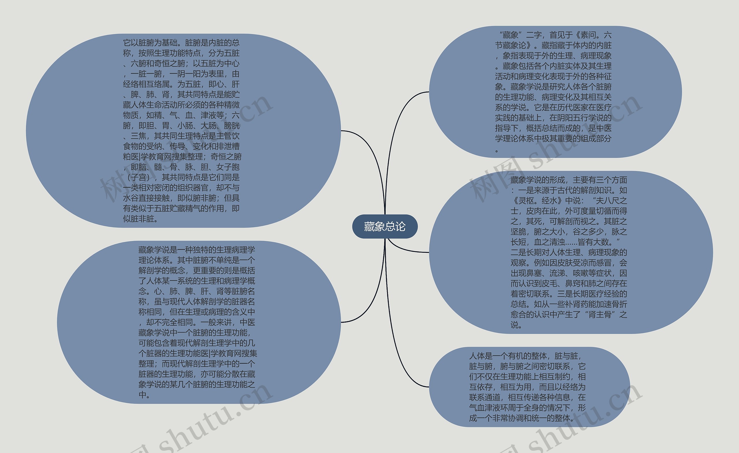 藏象总论思维导图