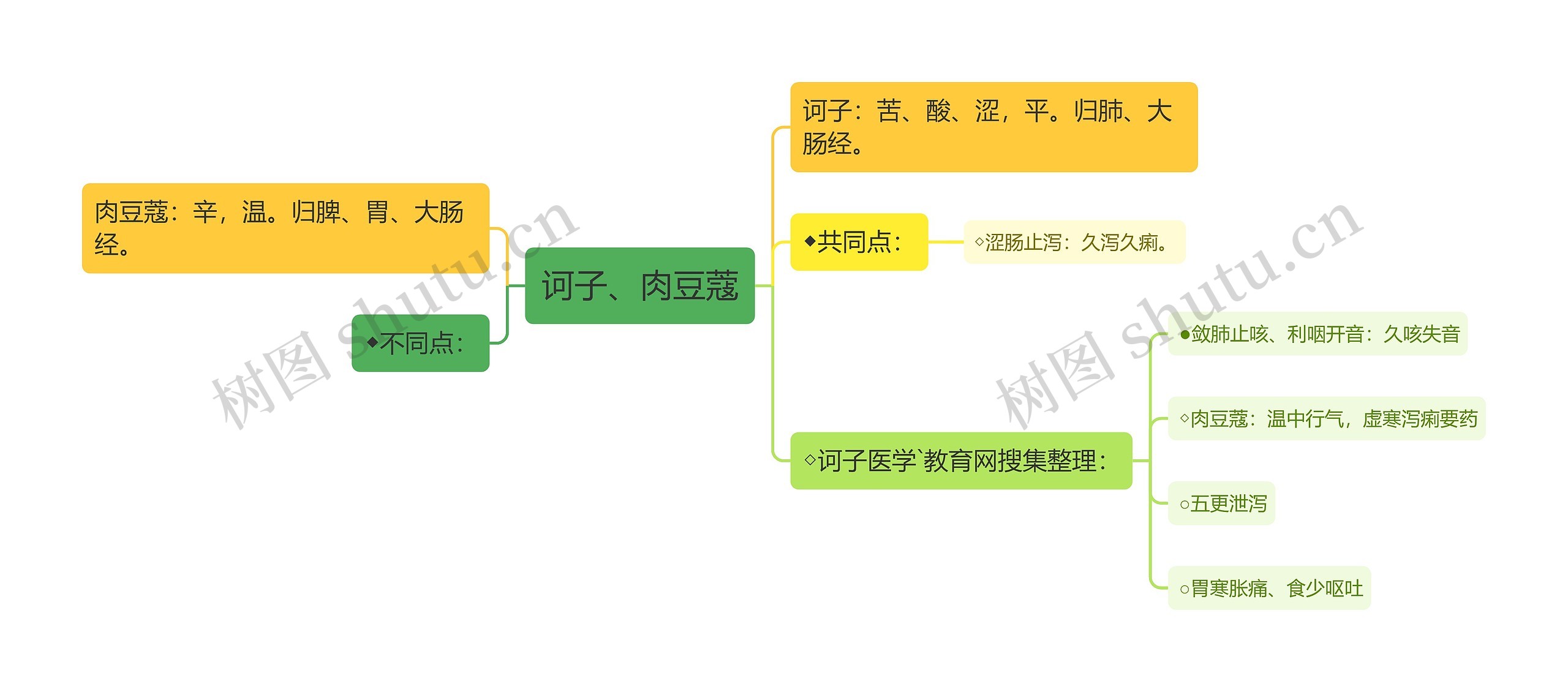 诃子、肉豆蔻思维导图