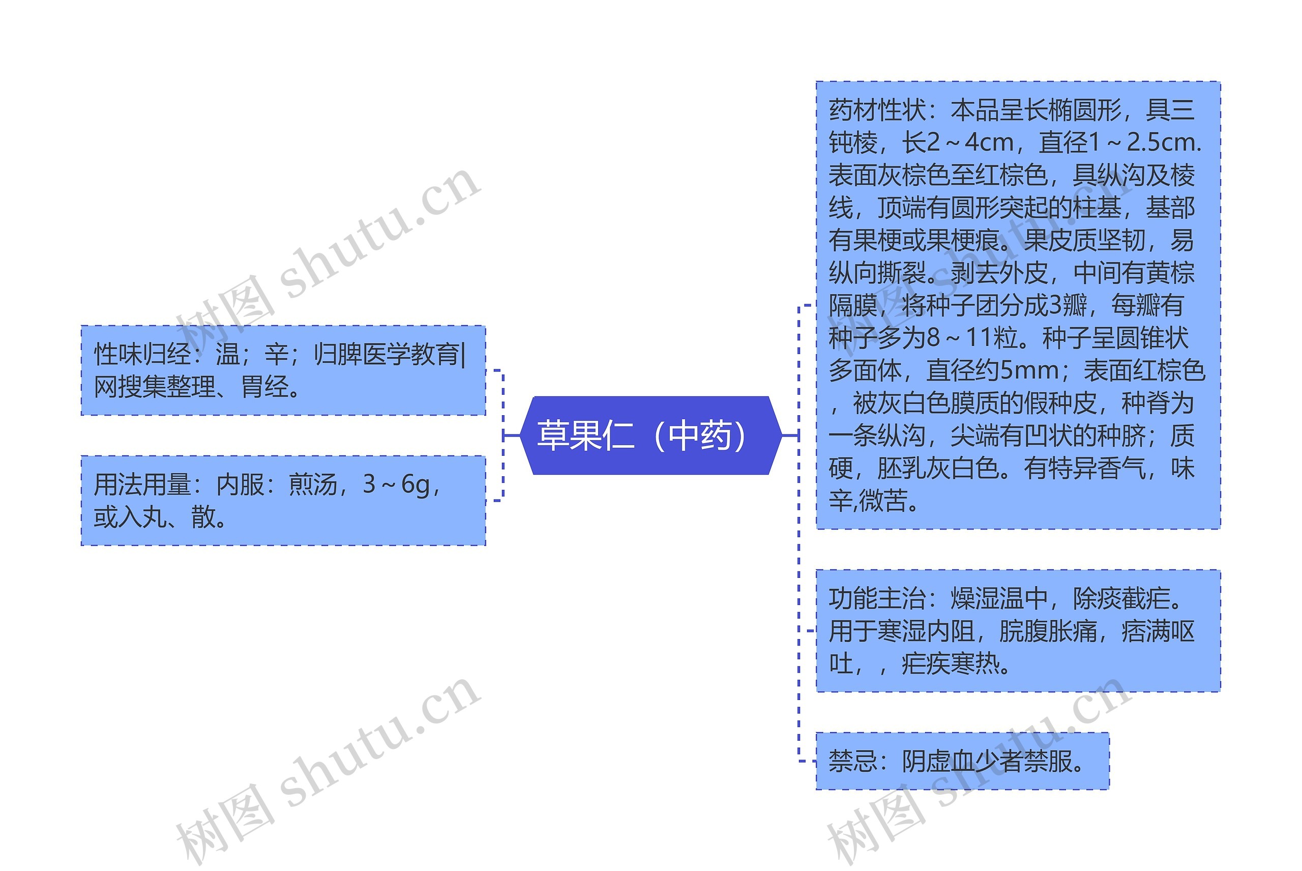 草果仁（中药）思维导图