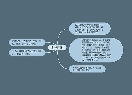 细叶马料梢