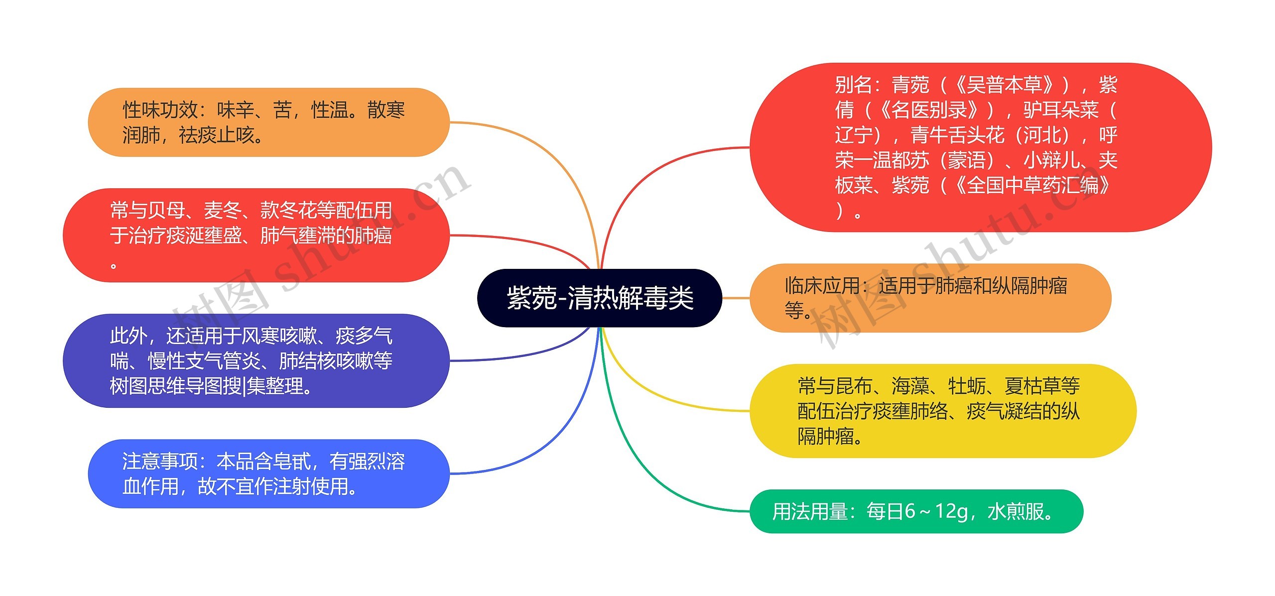 紫菀-清热解毒类思维导图