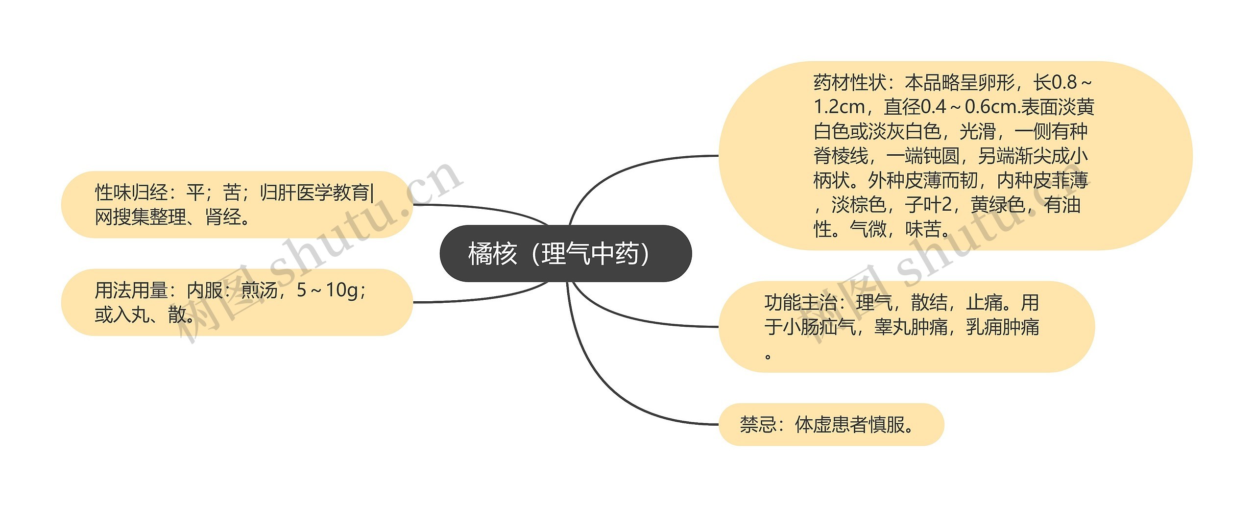 橘核（理气中药）思维导图