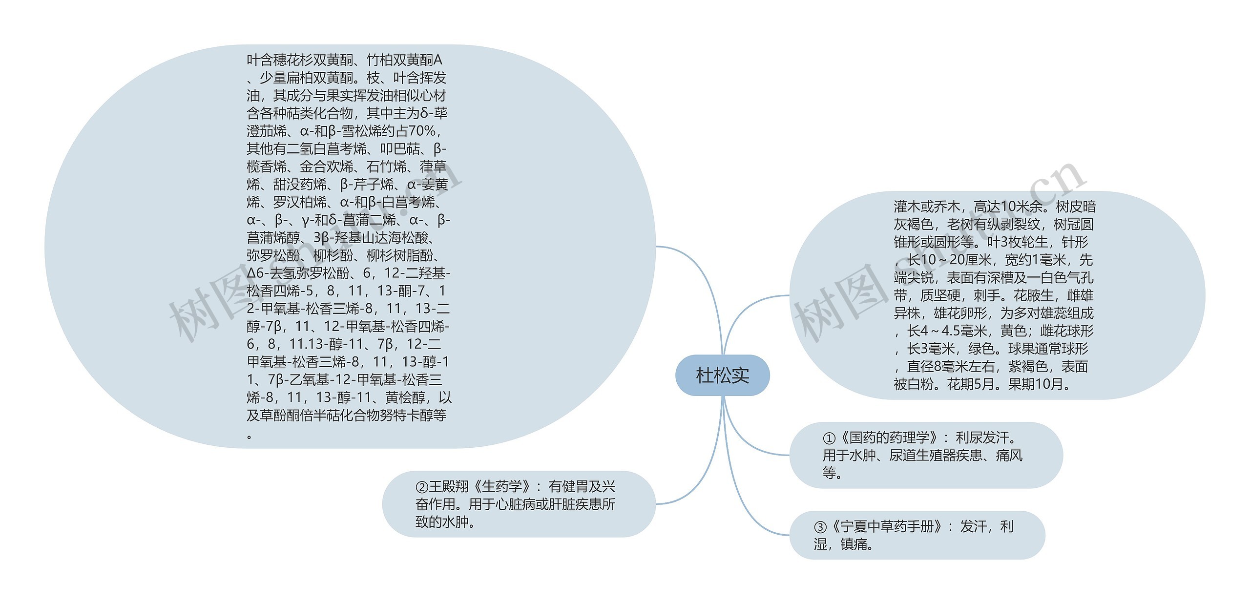 杜松实思维导图