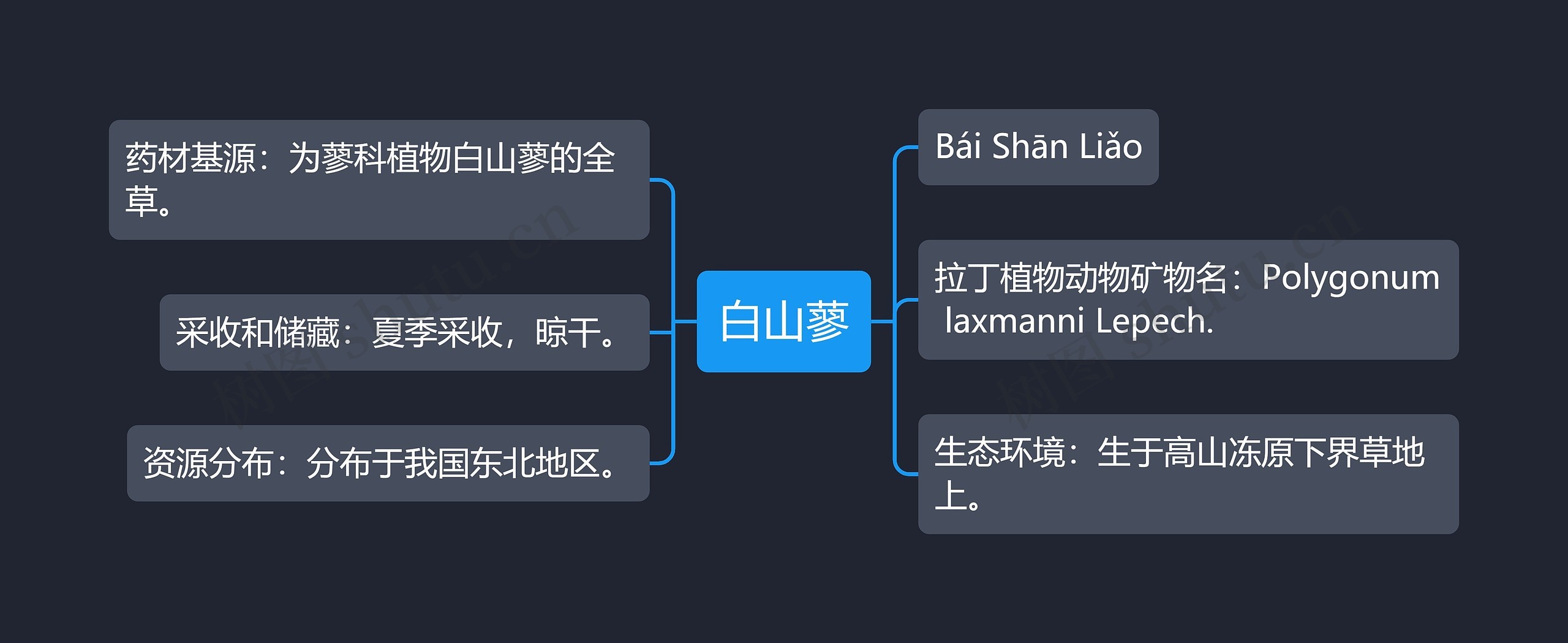 白山蓼思维导图