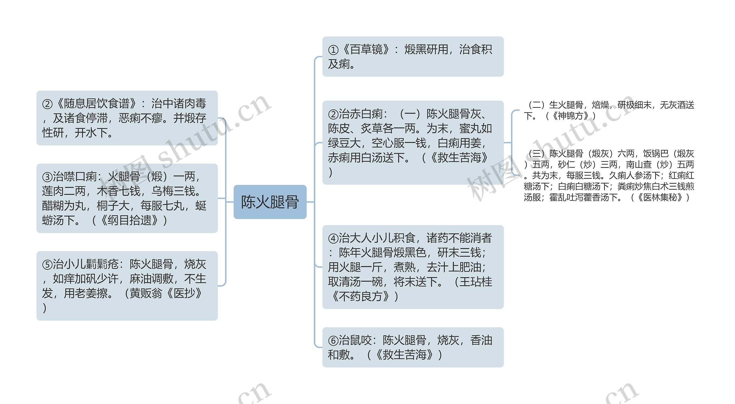 陈火腿骨思维导图