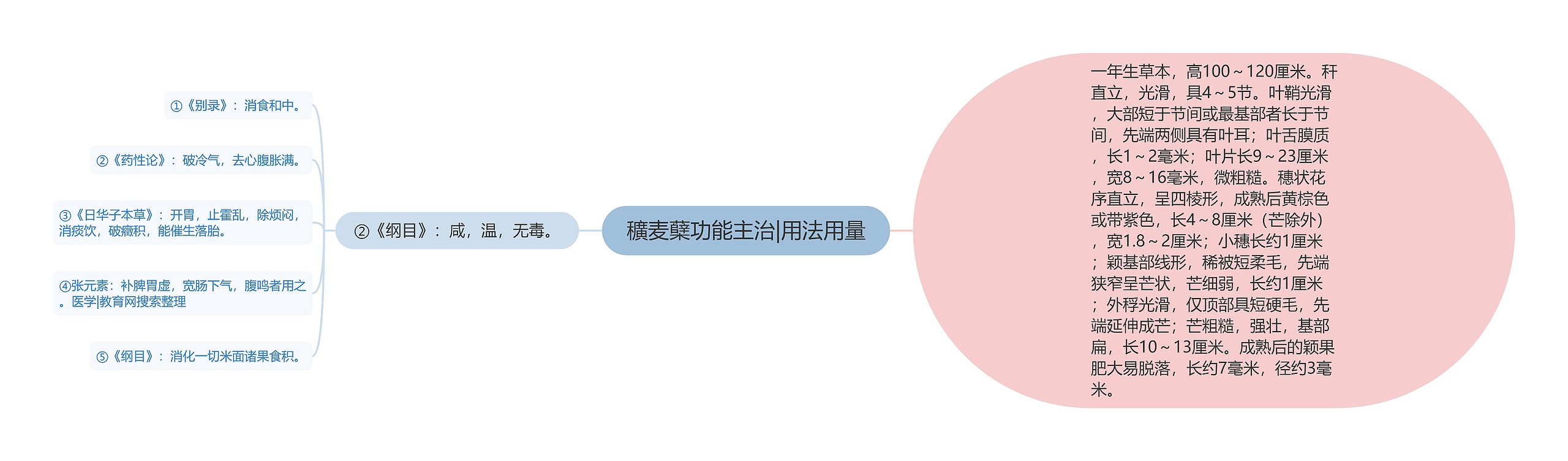 穬麦蘖功能主治|用法用量