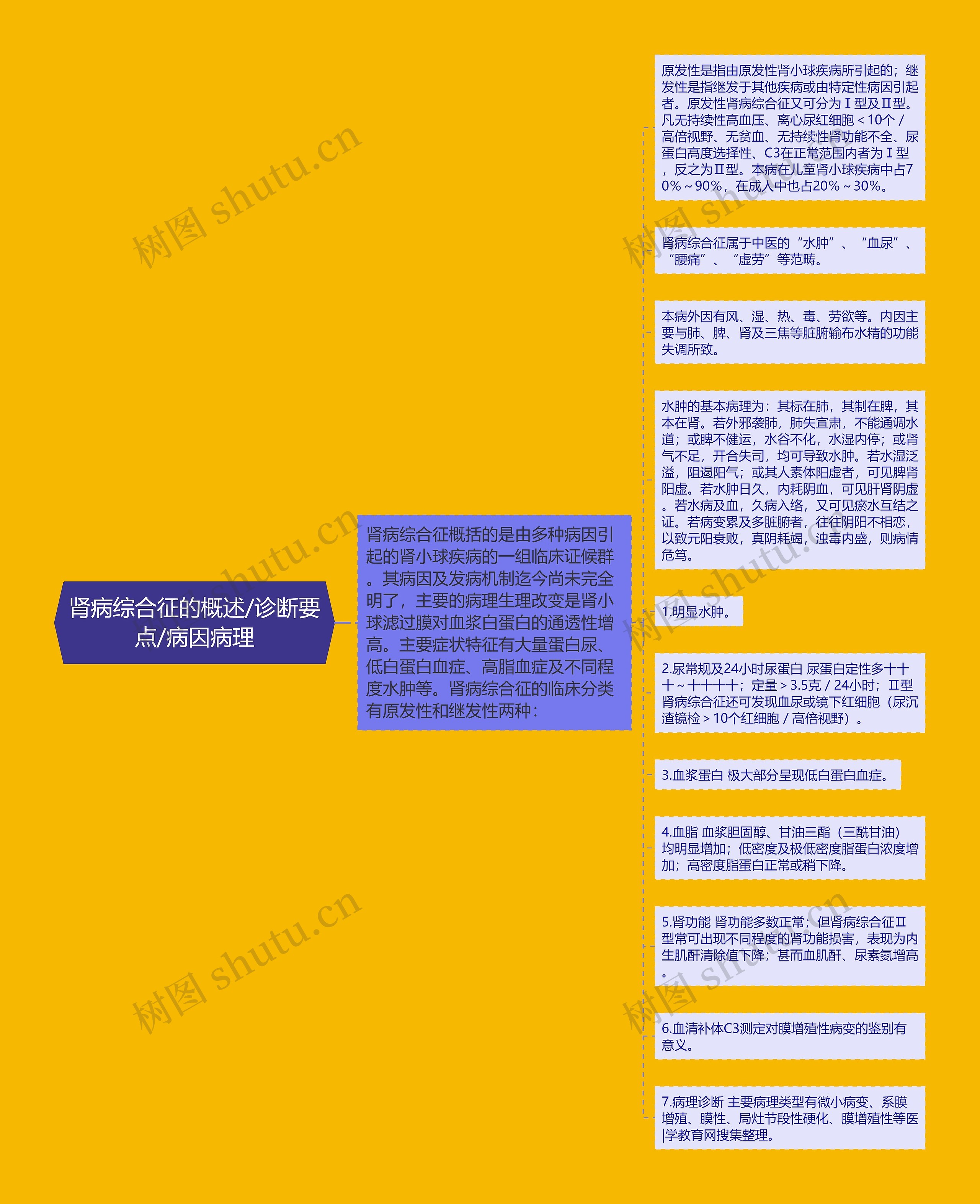 肾病综合征的概述/诊断要点/病因病理思维导图