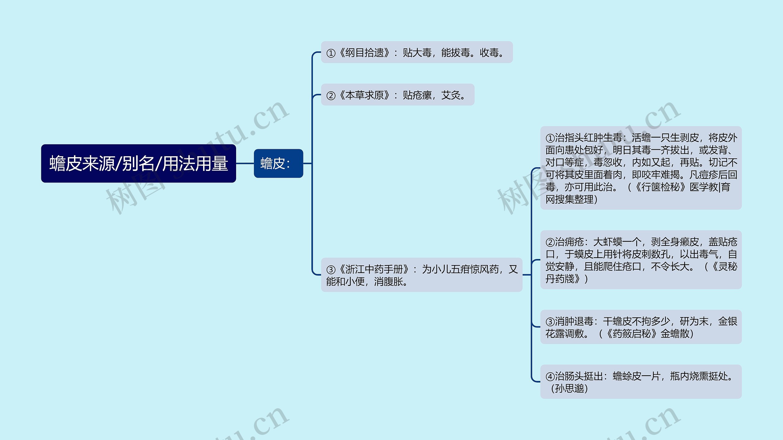 蟾皮来源/别名/用法用量思维导图