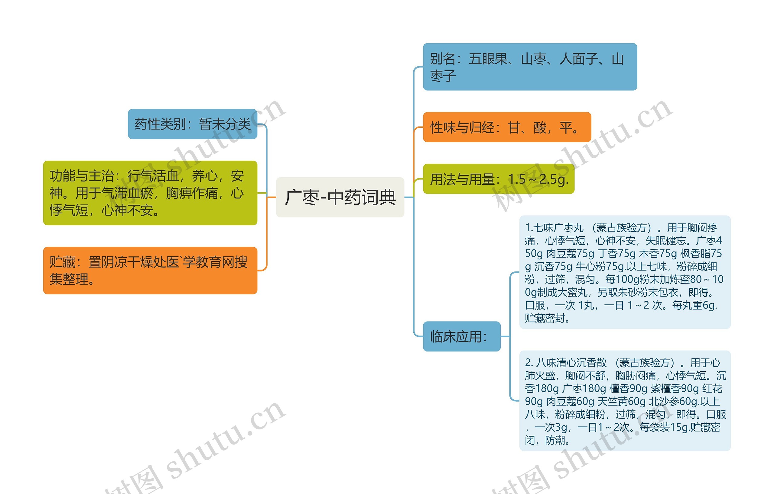 广枣-中药词典思维导图