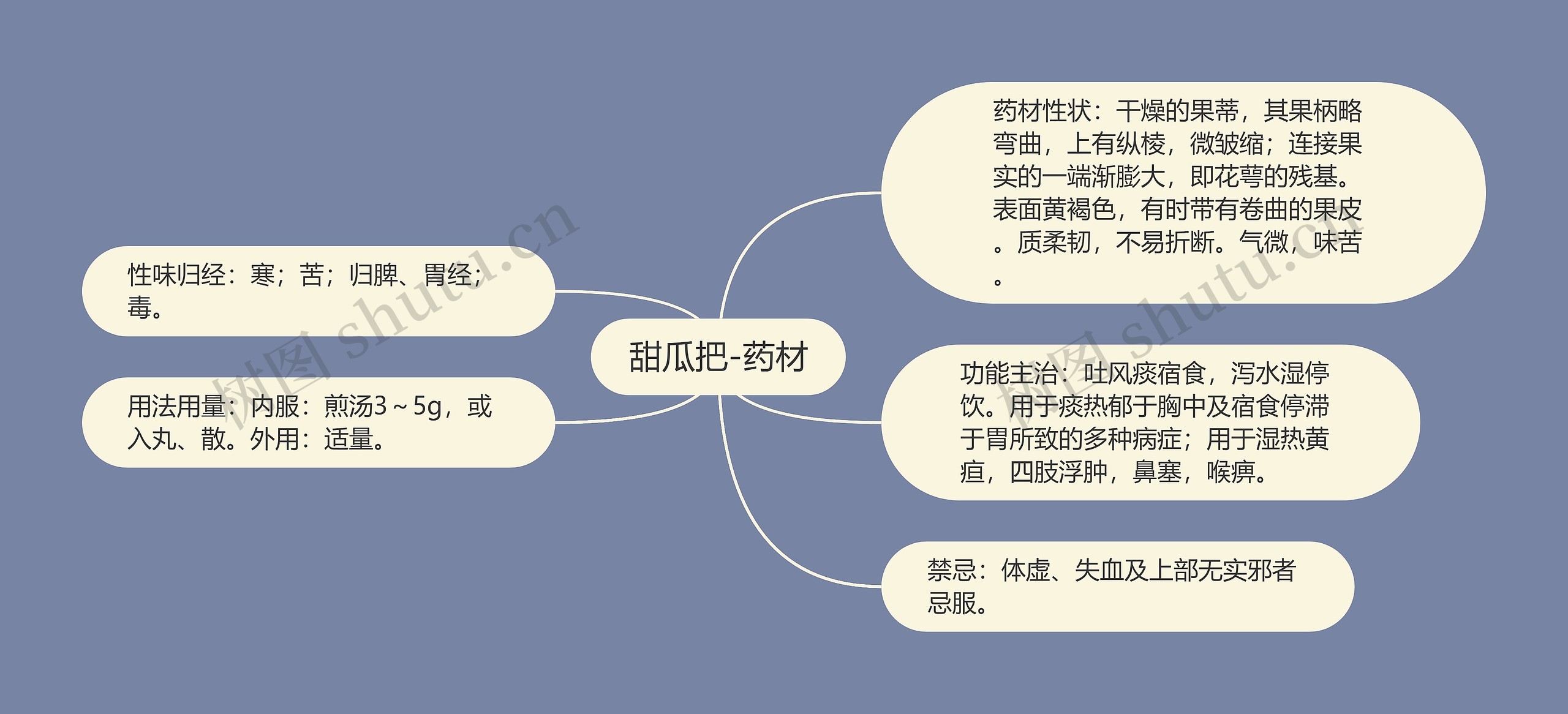 甜瓜把-药材思维导图