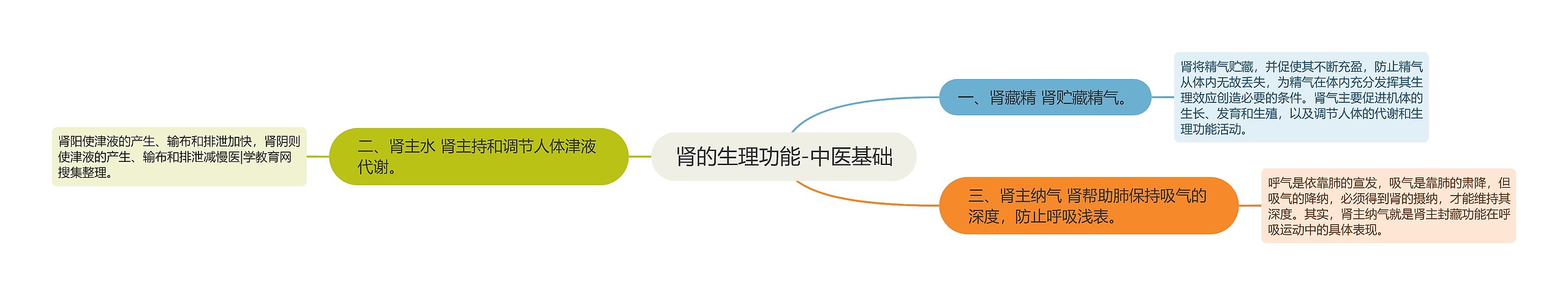 肾的生理功能-中医基础 肾的生理功能-中医基础