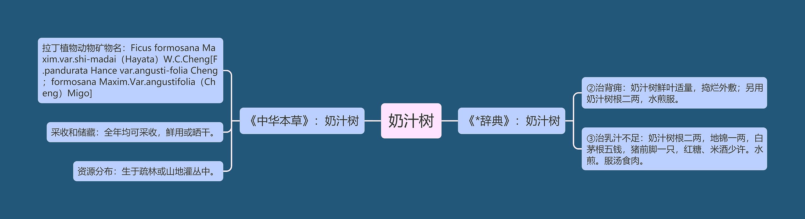 奶汁树思维导图