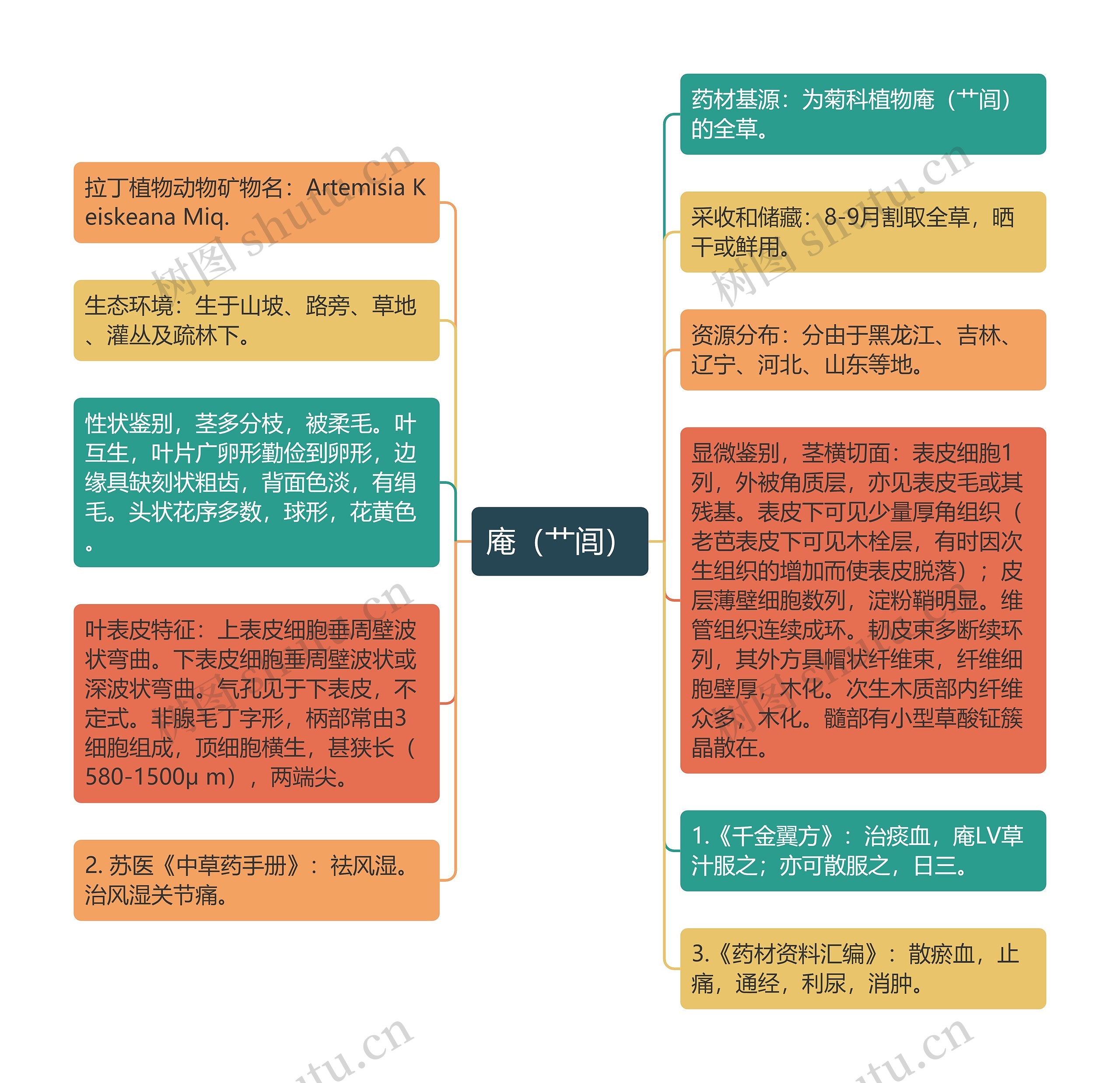 庵（艹闾）思维导图