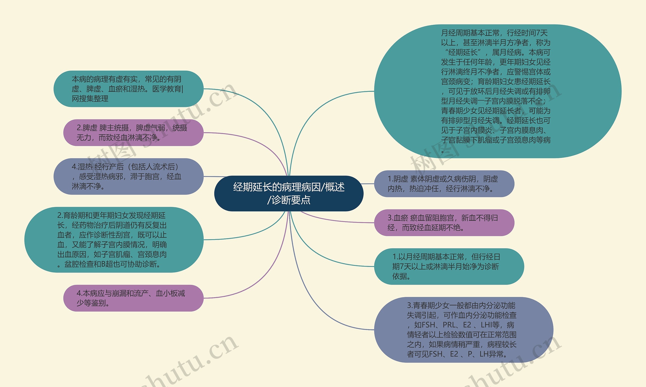 经期延长的病理病因/概述/诊断要点思维导图