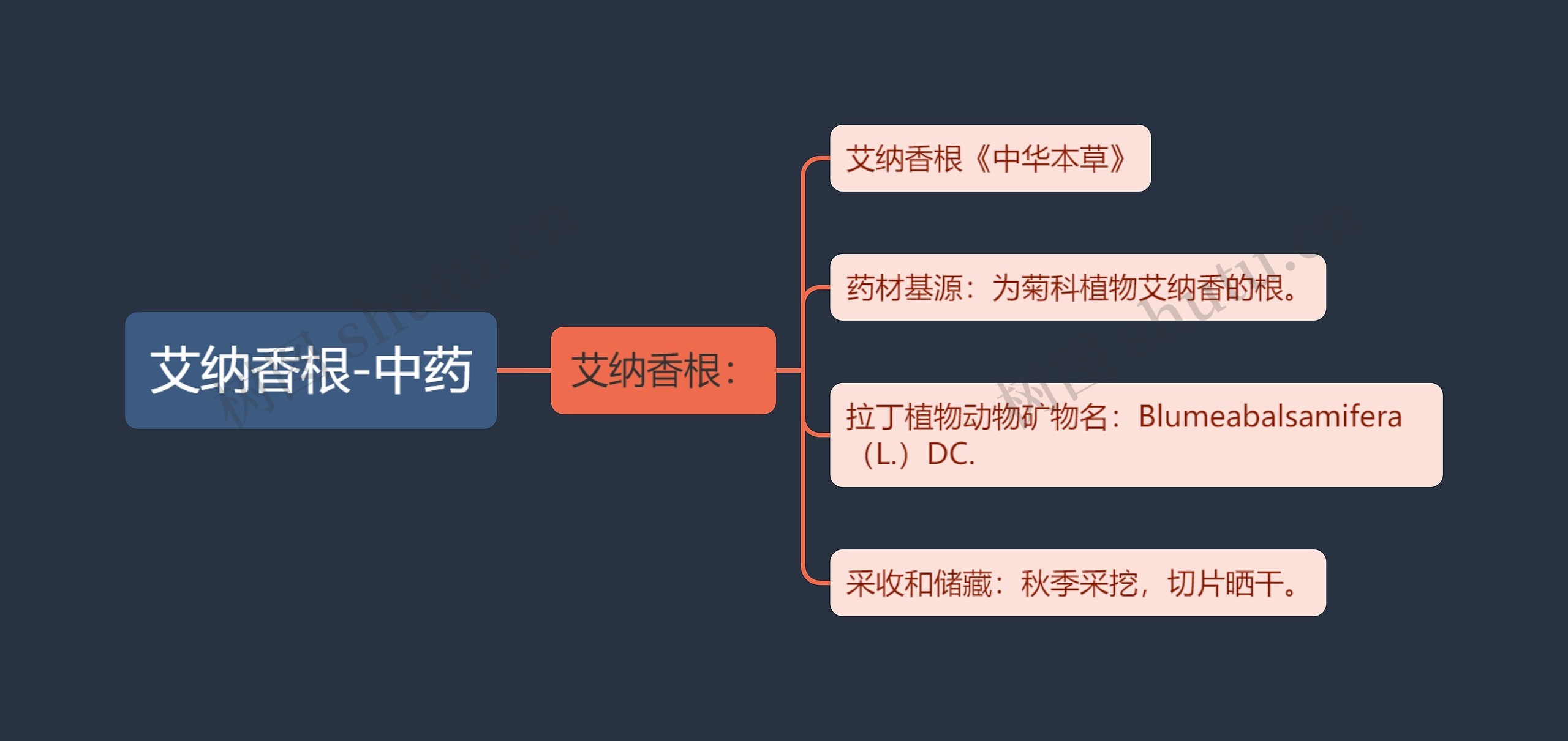 艾纳香根-中药思维导图