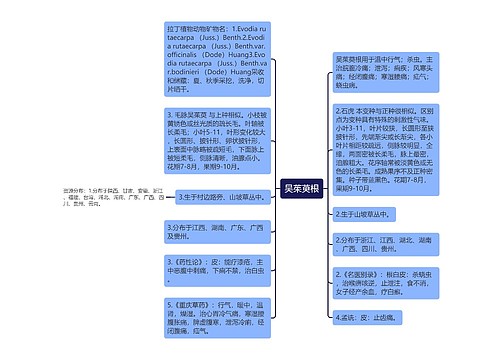 吴茱萸根