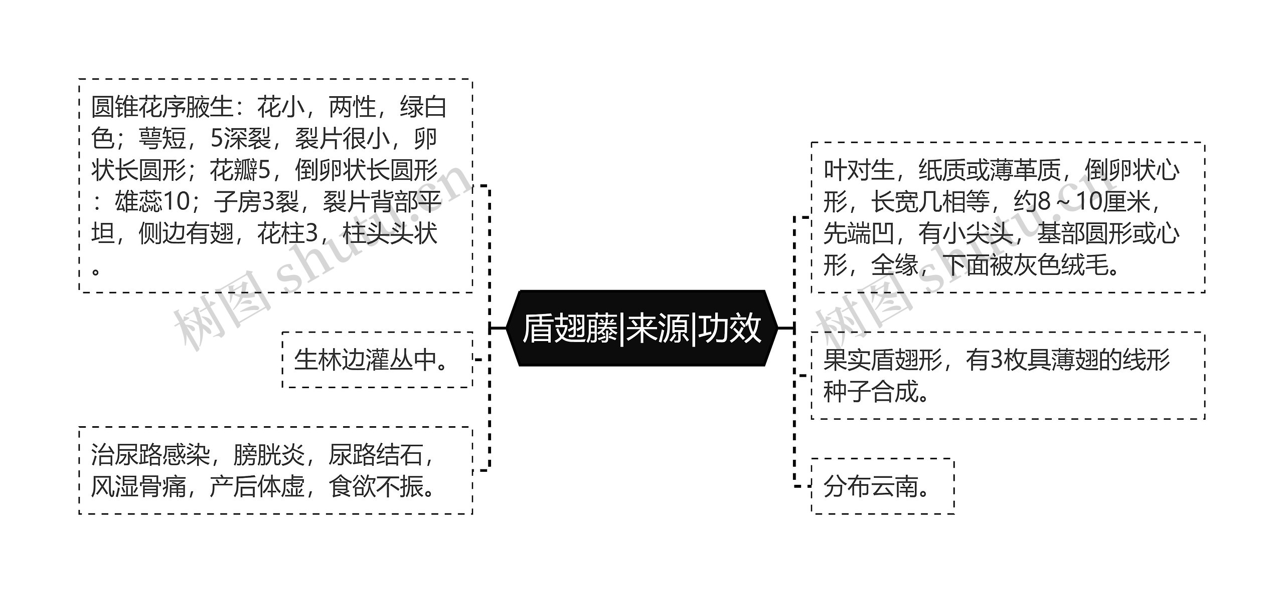 盾翅藤|来源|功效思维导图