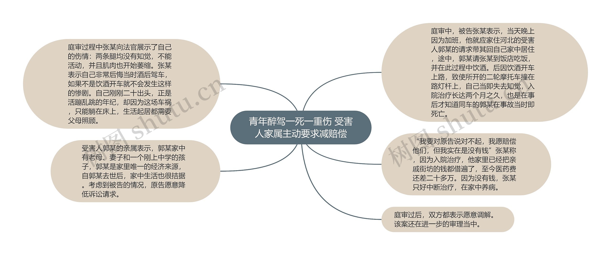 青年醉驾一死一重伤 受害人家属主动要求减赔偿思维导图