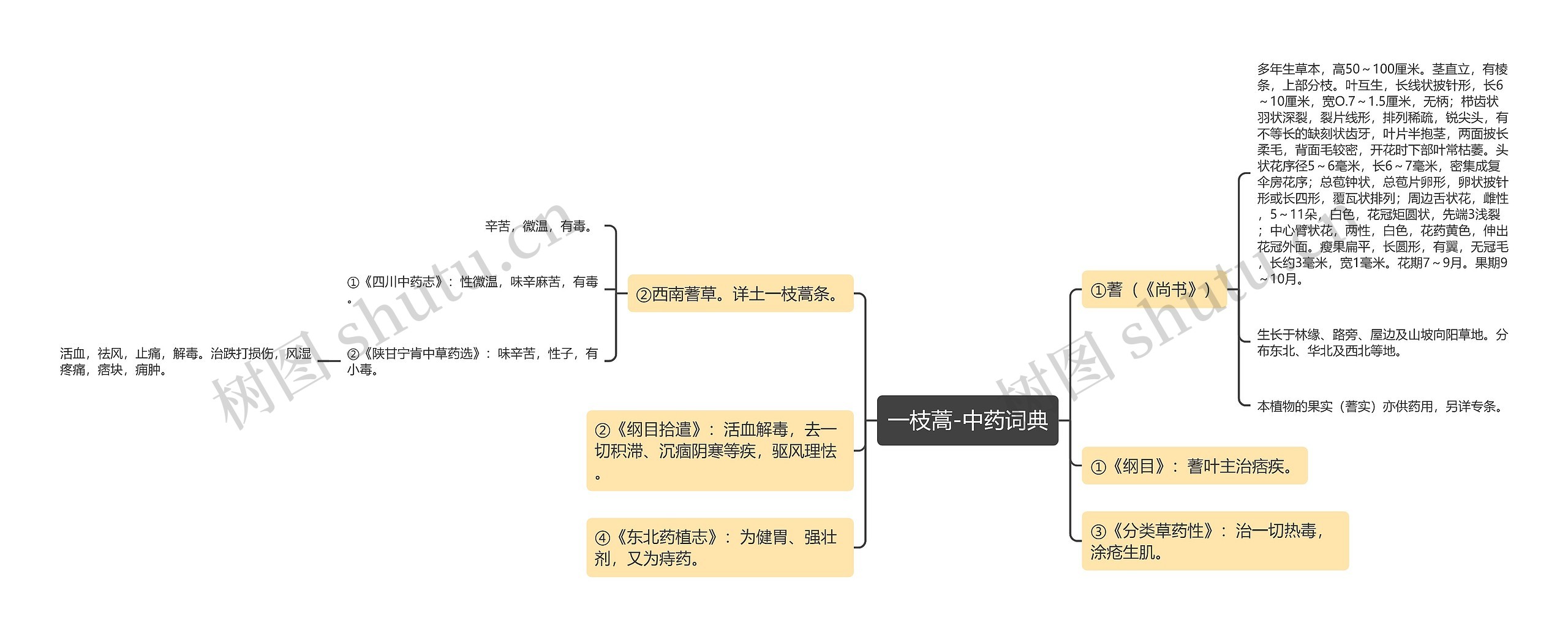 一枝蒿-中药词典思维导图