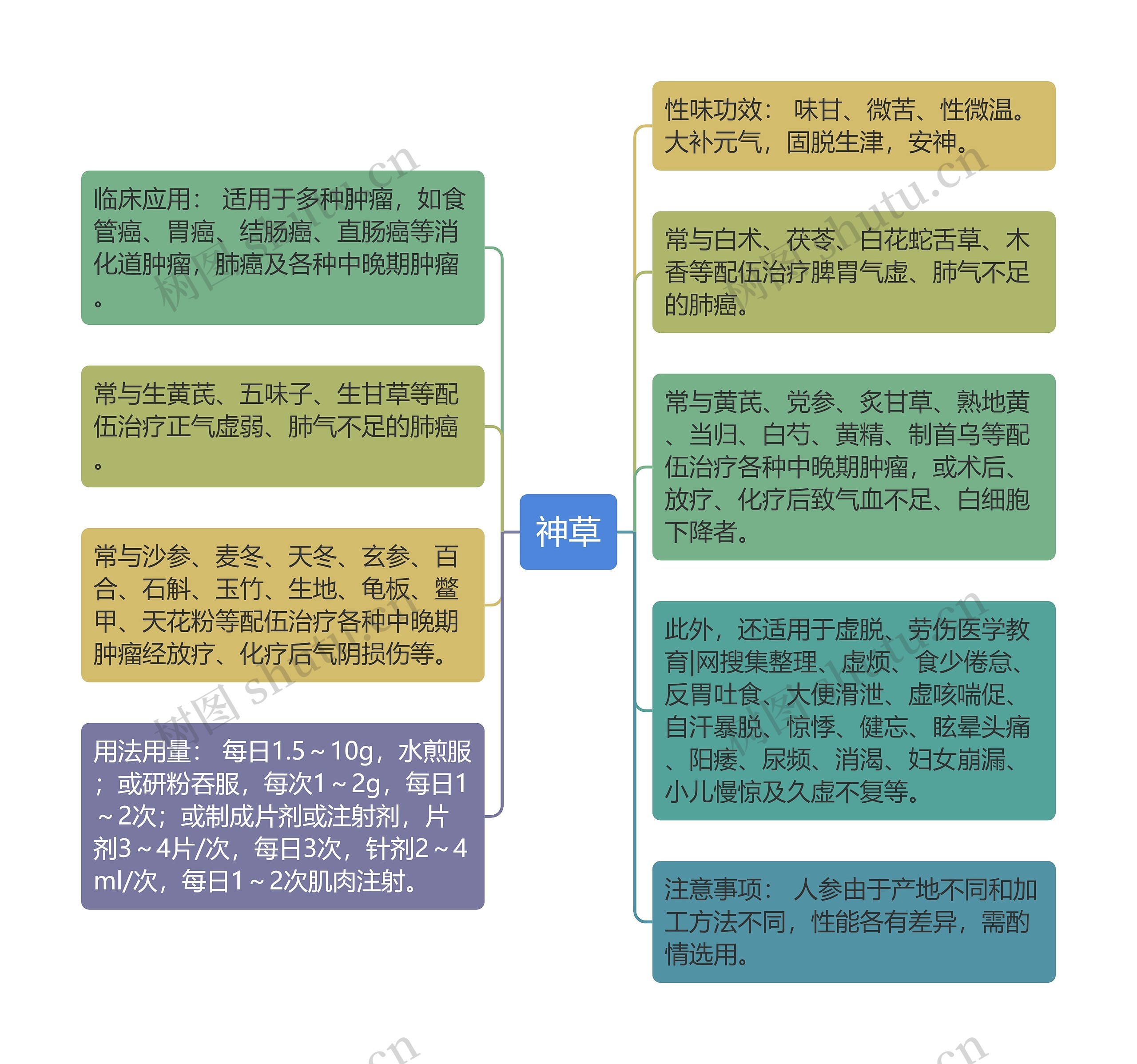 神草思维导图