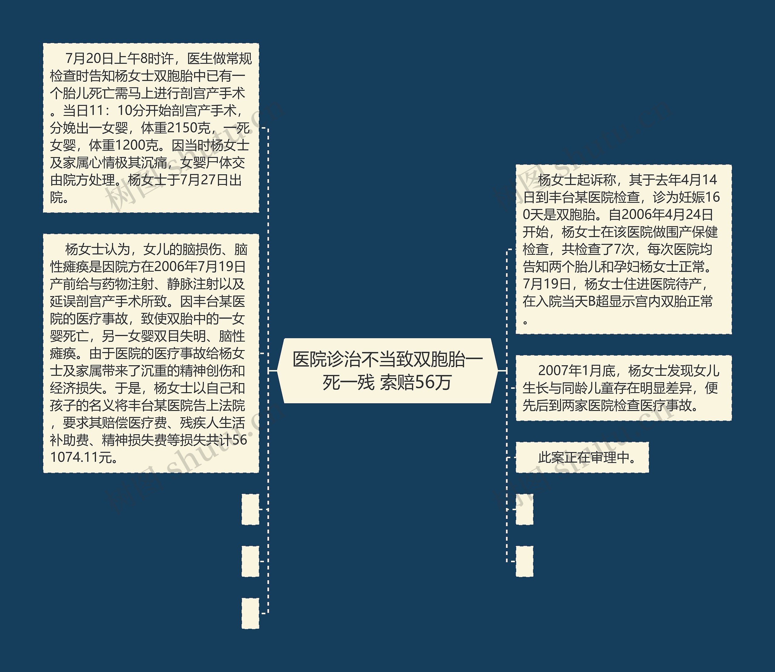 医院诊治不当致双胞胎一死一残 索赔56万思维导图