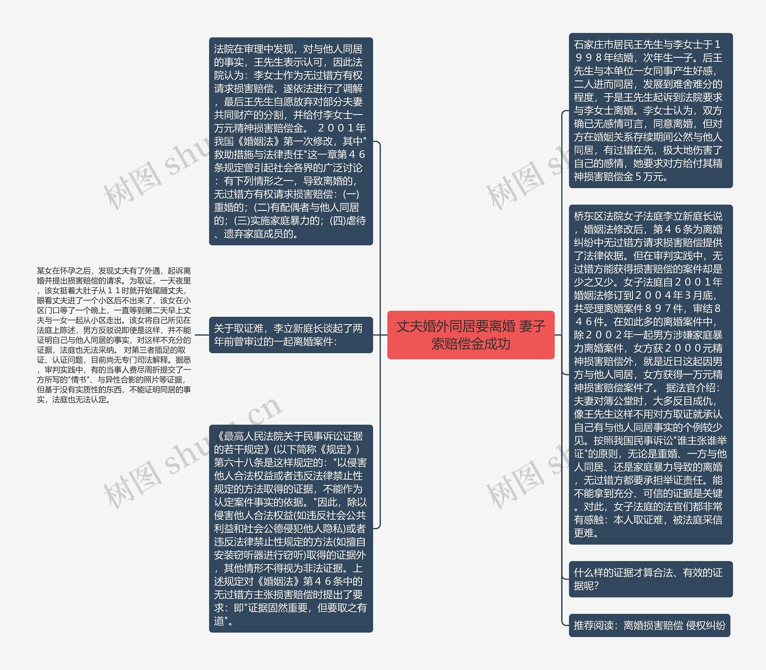 丈夫婚外同居要离婚 妻子索赔偿金成功思维导图