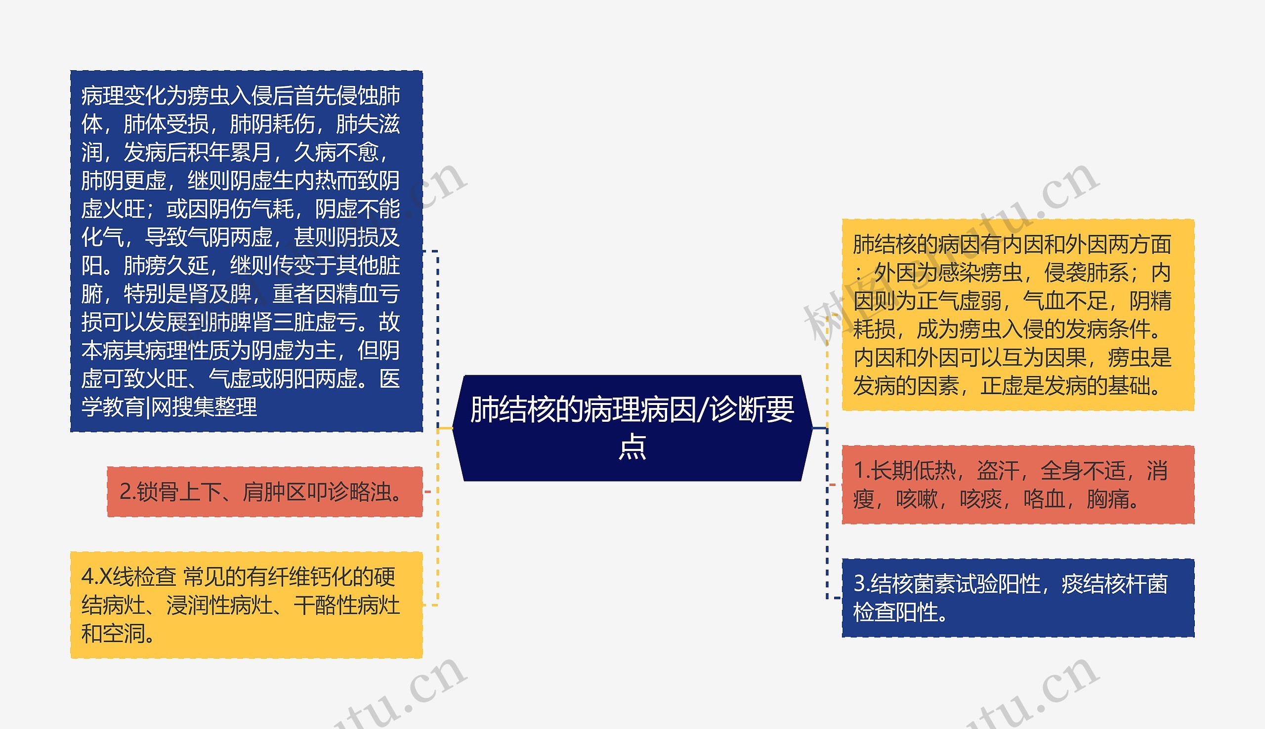 肺结核的病理病因/诊断要点