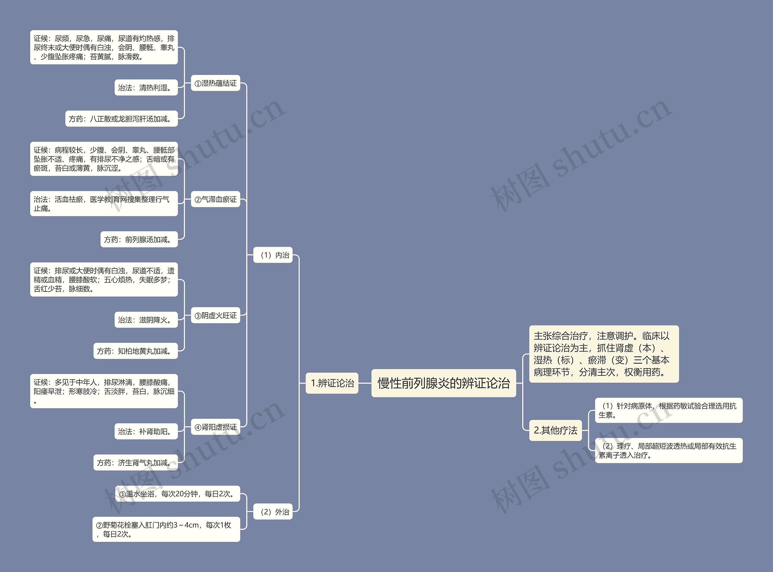 慢性前列腺炎的辨证论治思维导图