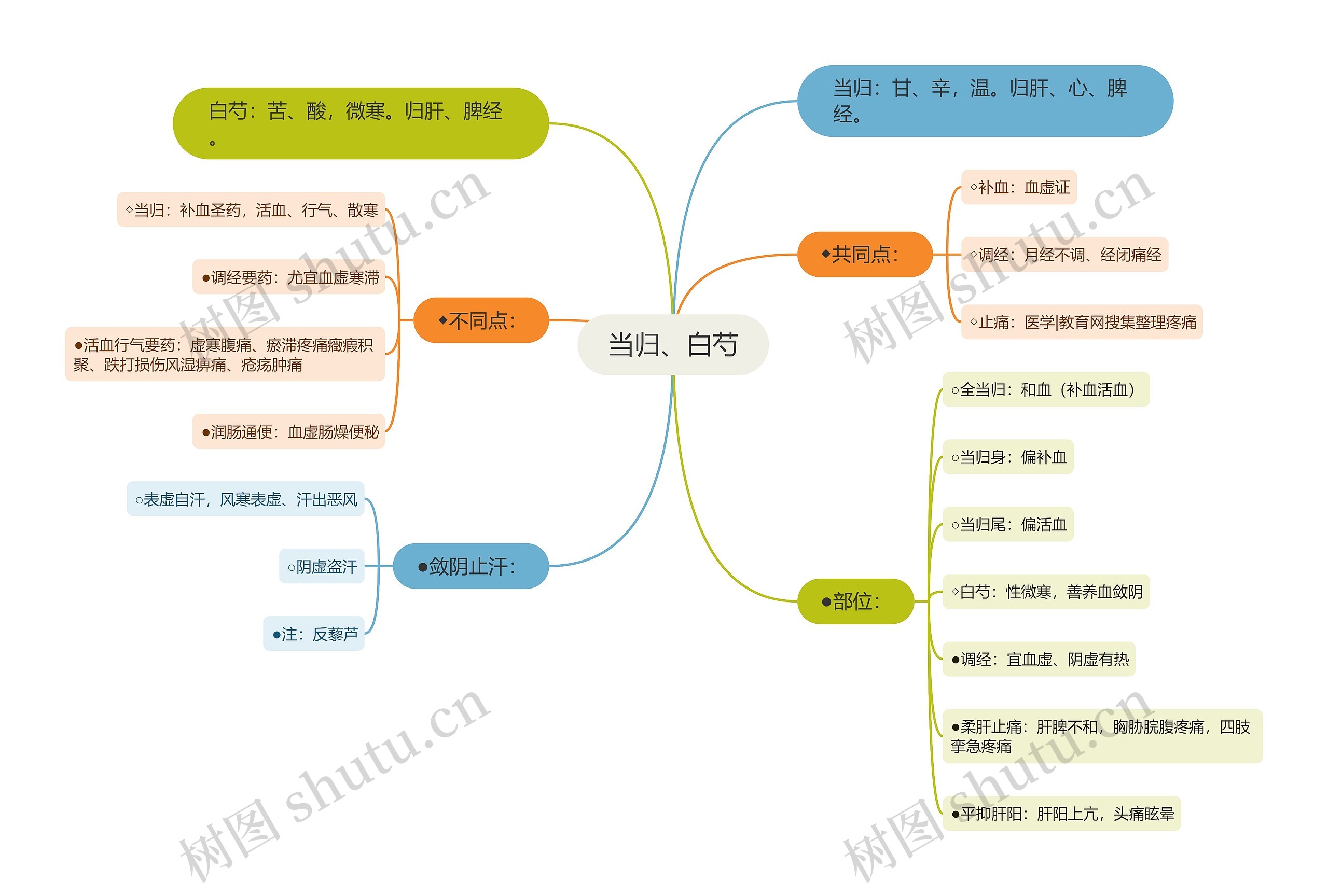 当归、白芍思维导图