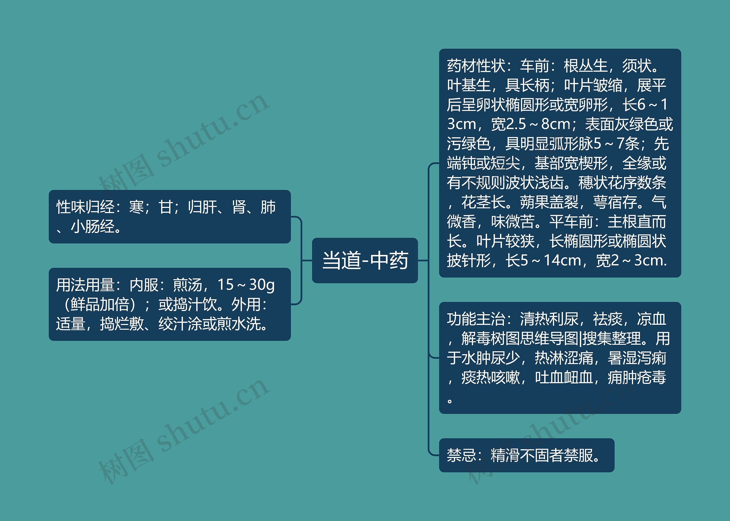 当道-中药思维导图